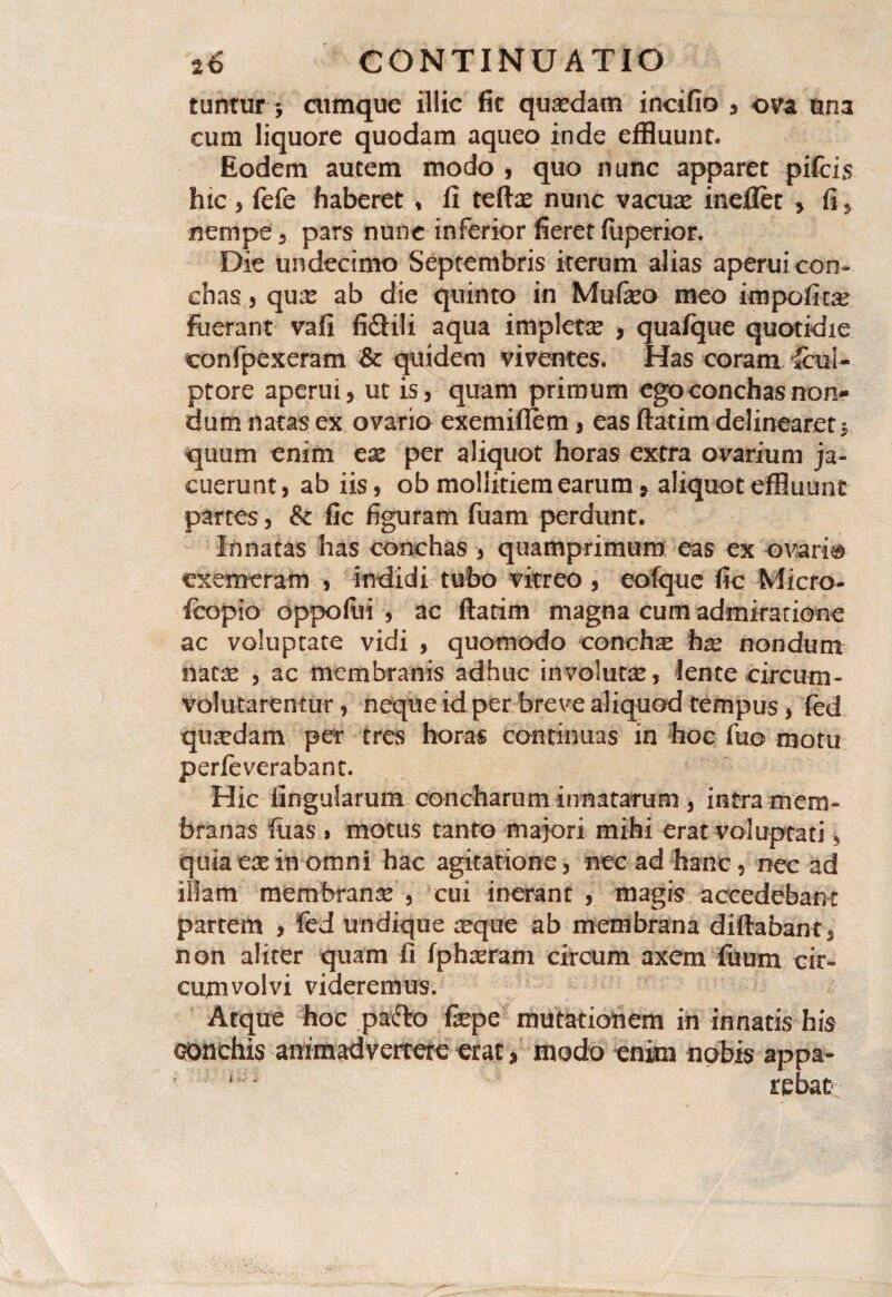 tuntur ; cumque illic fic quaedam incifio 3 ova una cum liquore quodam aqueo inde effluunt. Eodem autem modo , quo nunc apparet pifcis htc 3 fefe haberet , fi tefta? nunc vacuae ineflet , fi , nempe 3 pars nunc inferior fieret fiiperior. Die undecimo Septembris iterum alias aperui con¬ chas 3 qua? ab die quinto in Mufieo meo impolita? fuerant vafi fi£Hli aqua impletx , quafque quotidie confpexeram & quidem viventes. Has coramTcui- ptore aperui, ut is, quam primum ego conchas non* dum natas ex ovario exemiflem , eas ftatim delinearet $ quum enim ex per aliquot horas extra ovarium ja¬ cuerunt, ab iis 3 ob mollitiem earum, aliquot effluunt partes, & fic figuram fuam perdunt. innatas has conchas 3 quamprimum eas ex ovari® exemeram , indidi tubo vitreo 3 eofque fic Micro- fcopio oppofiii 3 ac ftatim magna cum admiratione ac voluptate vidi , quomodo concha h^ nondum mtx 3 ac membranis adhuc involutse, lente circum¬ volutarentur , neque id per breve aliquod tempus * fed quadam per tres horas continuas in hoc fuo motu perleverabant. Hic lingularum concharum innatarum j intra mem¬ branas luas i motus tanto majori mihi erat voluptati , quia ex in omni hac agitatione, nec ad hanc, nec ad illam membrana? , cui inerant , magis accedebant partem , fed undique sequte ab membrana diftabant, non aliter quam fi lphaeram circum axem ftium cir¬ cumvolvi videremus. Atque hoc pafto fepe mutationem in innatis his conchis animadvertere erat, modo enim nobis appa- ; ni* rebat-