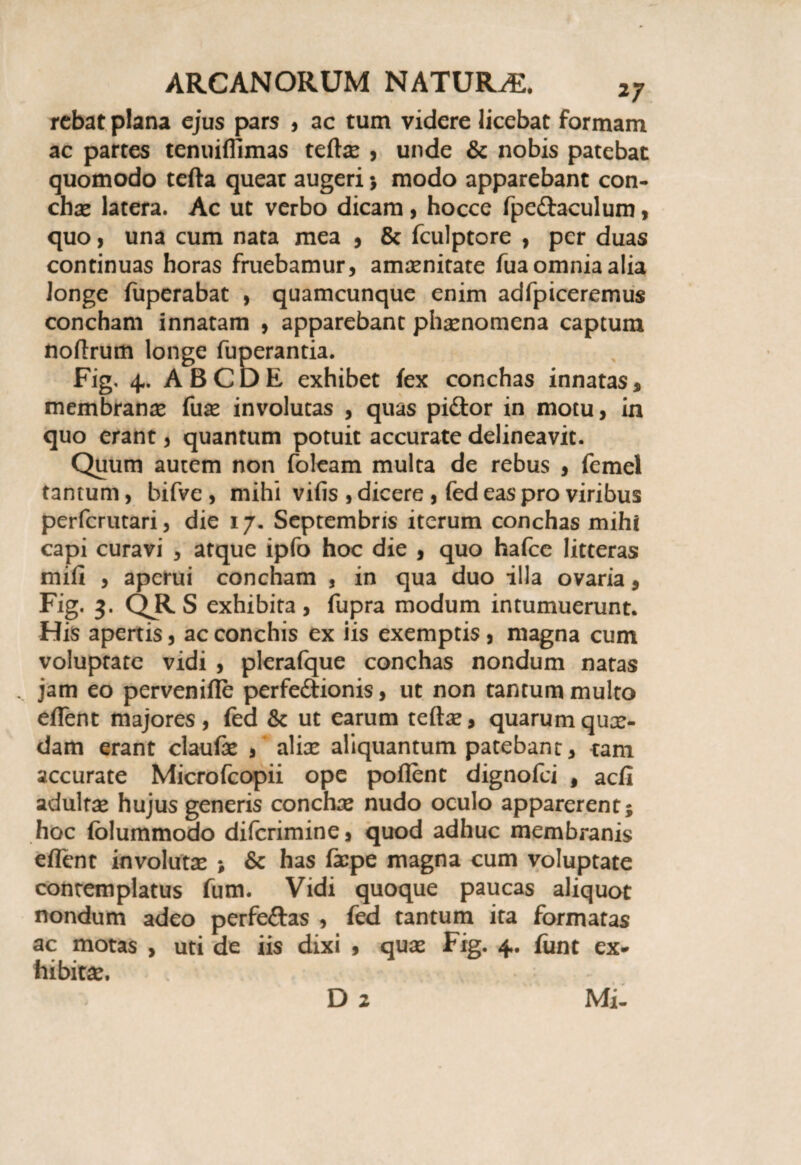 rcbat plana ejus pars , ac tum videre licebat formam ac partes tenuiflimas teftse , unde & nobis patebat quomodo tefta queat augeri > modo apparebant con¬ chas latera. Ac ut verbo dicam , hocce fpe&aculum, quo> una cum nata mea , & fculptore , per duas continuas horas fruebamur, amoenitate fua omnia alia longe fuperabat , quamcunque enim adfpiceremus concham innatam , apparebant phaenomena captum noftrum longe fuperantia. Fig, 4. ABCDE exhibet fex conchas innatas, membranas fuas involutas , quas pi&or in motu, in quo erant, quantum potuit accurate delineavit. Quum autem non foleam multa de rebus , femel tantum, bifve , mihi vilis , dicere , fed eas pro viribus perferutari, die 17. Septembris iterum conchas mihi capi curavi , atque ipfo hoc die , quo hafce litteras mili , aperui concham , in qua duo illa ovaria, Fig. QR S exhibita , fupra modum intumuerunt. His apertis, ac conchis ex iis exemptis, magna cum voluptate vidi , pleralque conchas nondum natas . jam eo pervenifle perfe&ionis, ut non tantum multo eflent majores, fed & ut earum teftas, quarum quas¬ dam erant claufe , aliae aliquantum patebant, tam accurate Microfcopii ope pollent dignofei # aefi adultas hujus generis conchas nudo oculo apparerent; hoc lolummodo diferimine, quod adhuc membranis eflent involutas > & has flepe magna cum voluptate conremplatus fum. Vidi quoque paucas aliquot nondum adeo perfe&as , fed tantum ita formatas ac motas , uti de iis dixi , quas Fig. 4. funt ex¬ hibitas. D 2 Mi.