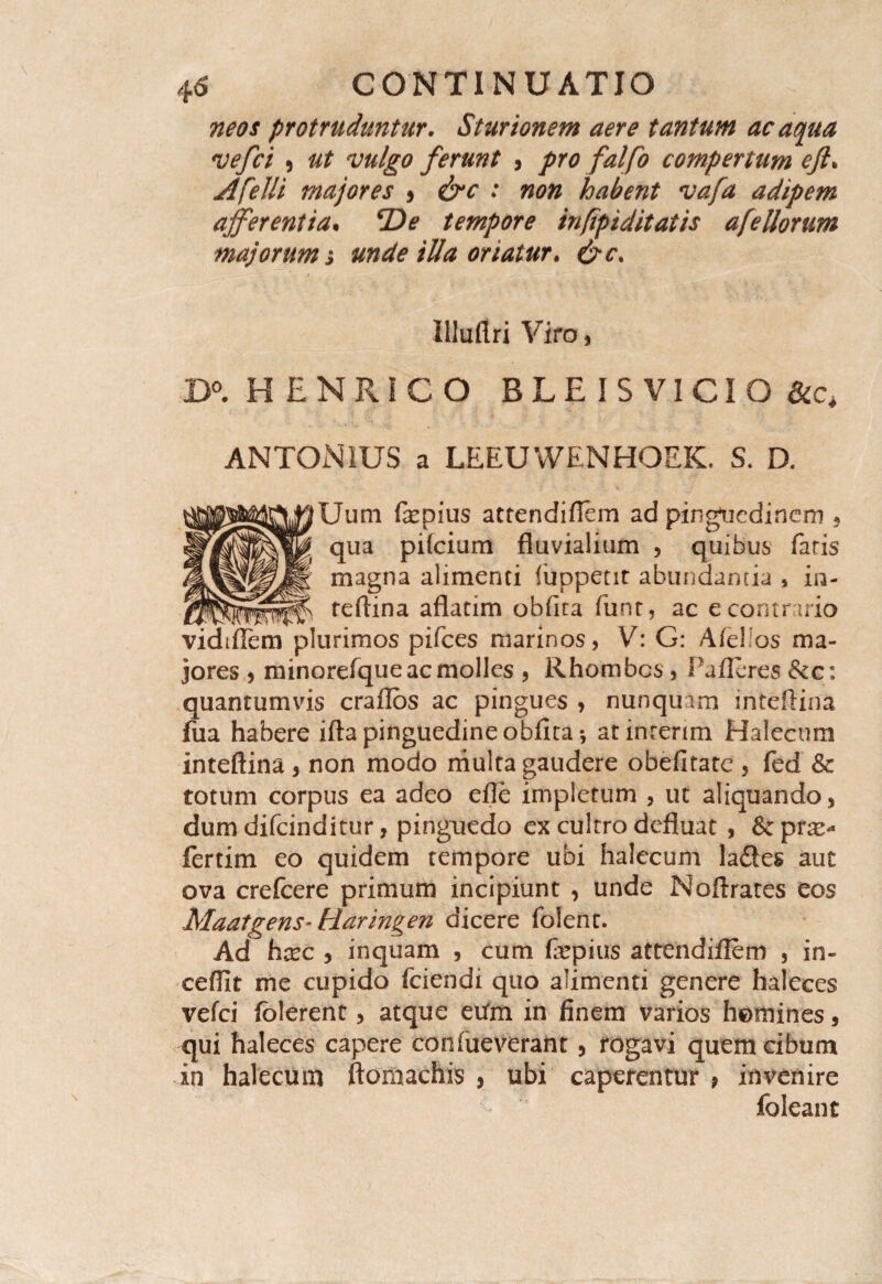 neos protruduntur. Sturtonem aere tantum ac aqua vefci , ut vulgo ferunt , pro falfo compertum eft. Afelli majores 5 &c : non habent vafa adipem afferentia% *De tempore infipiditatis afeUorum majorum j unde iUa oriatur. &c. Illuflri Viro, HENRICO BLE IS VICI O ANTONIUS a LEEUWENHOEK. S. D. Uum fepius attendiflem ad pinguedinem 5 qua pifeium fluvialium , quibus fatis magna alimenti fuppetit abundanda , in- reftina aflatim obfica funt, ac e contrario vidiflem plurimos pifces marinos, V: G: Afebos ma¬ jores , minorefque ac molles , Rhombos, Pafleres &cc: quantumvis craflos ac pingues , nunquam inteflina fiia habere ifta pinguedine obfita-, atinrerim Halecum inteflina , non modo multa gaudere obefitate , fed & totum corpus ea adeo efle impletum , ut aliquando, dumdifeinditur, pinguedo ex cultro defluat , & pra> fertim eo quidem tempore ubi halecum ladtes aut ova crefcere primum incipiunt , unde Noflrates eos Maatgens- Raringen dicere folent. Ad hxc j inquam , cum fepius attendiflem , in¬ cedit me cupido fciendi quo alimenti genere haleces vefei folerent, atque eufm in finem varios homines, qui haleces capere confueverant 5 rogavi quem cibum in halecum ftomachis , ubi caperentur 9 invenire foleant