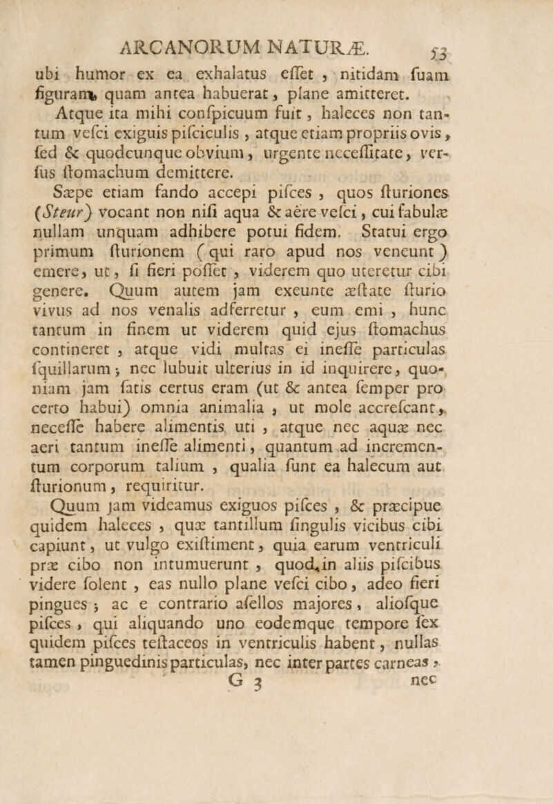 ubi humor ex ea exhalatus edet , nitidam fuain figurans quam antea habuerat , plane amitteret. Atque ita mihi confpicuum fuit, haleces non tan¬ tum vefci exiguis pifciculis , atque etiam propriis ovis, fed & quodcunque obvium 5 urgente neceditate, ver- fus ftomachum demittere. Saspe etiam fando accepi pifces , quos duriones (Steur} vocant non nifi aqua &c aere vefci, cui fabula nullam unquam adhibere potui fidem. Statui ergo primum fturionem (qui raro apud nos veneunt) emere, ut, fi fieri poflec , viderem quo uteretur cibi genere. Quum autem jam exeunte asdate durio vivus ad nos venalis adferretur , eum emi , hunc tantum in finem ut viderem quid ejus ftomachus contineret , atque vidi multas ei inede particulas fquillarum> nec lubuit ulterius in id inquirere, quo¬ niam jam fatis certus eram (ut & antea femper pro certo habui) omnia animalia , ut mole accrefcant, necede habere alimentis uti , atque nec aquas nec aeri tantum inede alimenti, quantum ad incremen¬ tum corporum talium , qualia funt ea halecum aut durionum, requiritur. Quum jam videamus exiguos pifces , & prascipue quidem haleces , qux tantillum dngulis vicibus cibi capiunt, ut vulgo exidiment, quia earum ventriculi pras cibo non intumuerunt , quod^in aliis pifeibus videre folent , eas nullo plane vefci cibo, adeo fieri pingues * ac e contrario afellos majores , aliofque pifces , qui aliquando uno eodemque tempore lex quidem pifces tedaceos in ventriculis habent, nullas tamen pinguedinis particulas, nec inter partes carneas ? G 3 nec