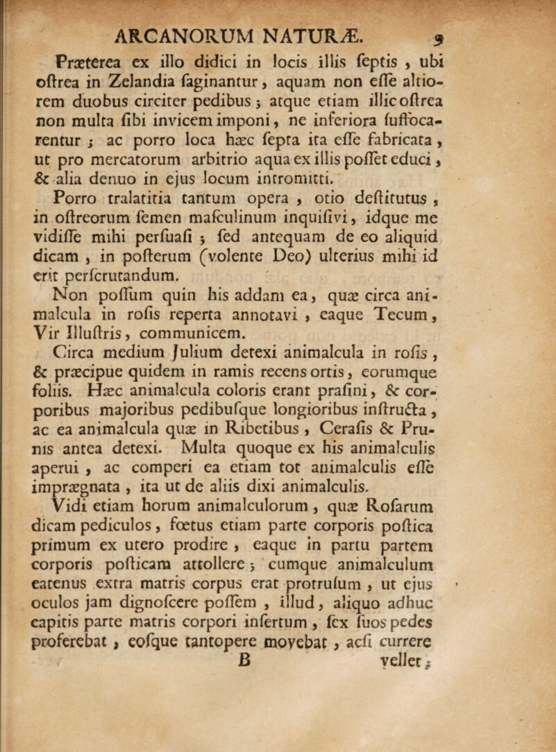 Praeterea ex illo didici in locis illis feptis , ubi oftrea in Zelandia faginantur, aquam non efte alcio- rem duobus circiter pedibus 5 atque etiam illic oftrea non multa fibi invicem imponi, ne inferiora fuflbea- rentur j ac porro loca hxc fepta ita efte fabricata , ut pro mercatorum arbitrio aqua ex illis poftet educi , & alia denuo in ejus locum intromitti. Porro tralatitia tantum opera , otio deftitutus 5 in oftreorum femen mafculinum inquifivi, idque me vidifte mihi perfuali j fed antequam de eo aliquid dicam , in pofterum (volente Deo) ulterius mihi id erit perferutandum. Non poflum quin his addam ea, qua* circa ani- malcula in rofis reperta annotavi , eaque Tecum, Virllluftris, communicem. Circa medium Julium detexi animalcula in rofis, & praecipue quidem in ramis recens ortis, eorumque foliis. Hxc animalcula coloris erant prafini, 8c cor¬ poribus majoribus pedibufque longioribus inftru&a , ac ea animalcula quae in Ribetibus , Cerafis & Pru¬ nis antea detexi. Multa quoque ex his animalculis aperui , ac comperi ea etiam tot animalculis efie impraegnata , ita ut de aliis dixi animalculis. Vidi etiam horum animalculorum , quae Rofarum dicam pediculos, foetus etiam parte corporis poftica primum ex utero prodire , eaque in partu partem corporis pofticam attollere 3 cumque animalculum eatenus extra matris corpus erat protrufum , ut ejus oculos jam dignofeere poftem , illud, aliquo adhuc capitis parte matris corpori infertum , fex fuospedes proferebat > eofque tantopere movebat, aefi currere B vellet *
