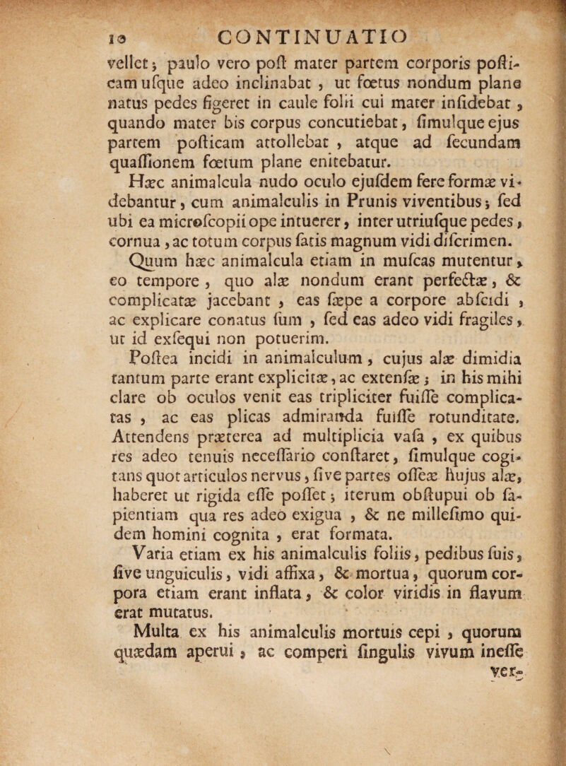 vellet 5 paulo vero poli mater partem corporis pofli- camufque adeo inclinabat , ut foetus nondum plane natus pedes figeret in caule folii cui mater infidebat, quando mater bis corpus concutiebat, fimulqueejus partem pofticam attollebat , atque ad fecundam quaffionem foetum plane enitebatur. Ha?c animalcula nudo oculo ejufdem fere formae vi¬ debantur , cum animaJculis in Prunis viventibus 5 fed ubi ea microfcopii ope intuerer, inter utriufque pedes, cornua, ac totum corpus fatis magnum vidi diicrimen. Quum hasc animalcula etiam in mufcas mutentur > eo tempore , quo alas nondum erant perfe&as, 6c complicatae jacebant , eas fepe a corpore abfcidi , ac explicare conatus (iim , fed eas adeo vidi fragiles, ur id exfequi non potuerim. Poftea incidi in animalculum , cujus alse dimidia tantum parte erant explicitse, ac extenfie; in his mihi clare ob oculos venit eas tripliciter fuifle complica¬ tas , ac eas plicas admiranda fuifle rotunditate. Attendens prasterea ad multiplicia vafa , ex quibus res adeo tenuis neceflario conflaret, fimulque cogi¬ tans quot articulos nervus, fi ve partes ofleas hujus ala?, haberet ut rigida efle poflet 5 iterum obflupui ob la¬ piendam qua res adeo exigua , & ne millefimo qui¬ dem homini cognita , erat formata. Varia etiam ex his animalculis foliis, pedibusfuis, live unguiculis > vidi affixa, & mortua, quorum cor¬ pora etiam erant inflata , & color viridis in flavum erat mutatus. * Multa ex his animalculis mortuis cepi , quorum quasdam aperui 9 ac comperi lingulis vivum inefle