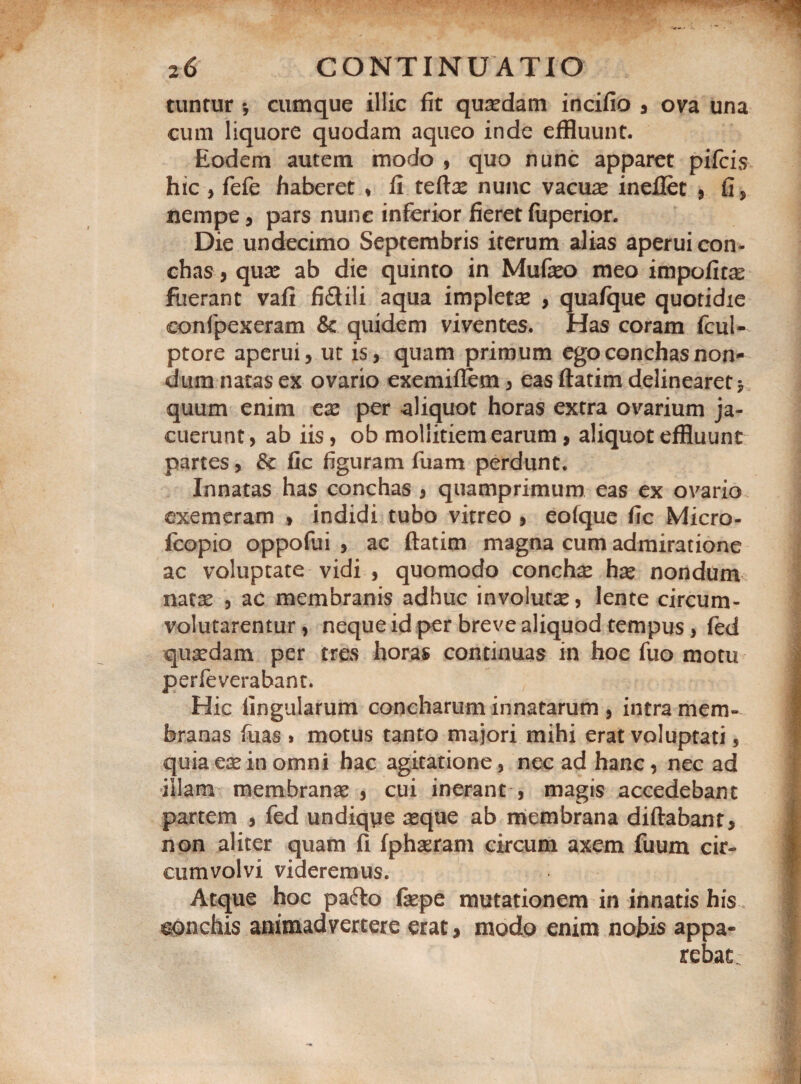 tuntur •, cumque illic fit quaedam incifio , ova una cum liquore quodam aqueo inde effluunt. Eodem autem modo , quo nunc apparet pifcis hic , fefe haberet ♦ fi teftae nunc vacuas ineflet , fi, nempe, pars nunc inferior fieret (uperior. Die undecimo Septembris iterum alias aperui con¬ chas, quas ab die quinto in Mufaso meo impofitas fuerant vafi fi&ili aqua impletas , quafque quotidie confpexeram Sc quidem viventes. Has coram fcul- ptore aperui, ut is, quam primum ego conchas non¬ dum natas ex ovario exemifiem, easftatim delinearet* quum enim eas per aliquot horas extra ovarium ja¬ cuerunt , ab iis, ob mollitiem earum, aliquot effluunt partes, & fic figuram fuarn perdunt. Innatas has conchas , quamprimum eas ex ovario exemeram , indidi tubo vitreo , eofque fic Micro- fcopio oppofui , ac ftatim magna cum admiratione ac voluptate vidi , quomodo conchas has nondum natas , ac membranis adhuc involutas, lente circum¬ volutarentur , neque id per breve aliquod tempus, fed quaedam per tres horas continuas in hoc fuo motu perfeverabant. Hic lingularum concharum innatarum , intra mem¬ branas fuas » motus tanto majori mihi erat voluptati 5 quia eae in omni hac agitatione, nec ad hanc, nec ad illam membranae , cui inerant , magis accedebant partem , fed undiqye aeque ab membrana diftabant, non aliter quam fi fphaeram circum axem fuum cir¬ cumvolvi videremus. Atque hoc pafto fepe mutationem in innatis his aonchis animadvertere erat, modo enim nobis appa¬ rebat