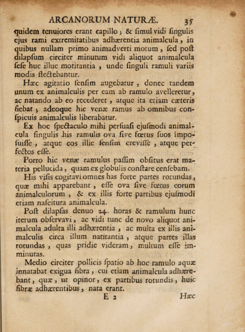 quidem tenuiores erant capillo 5 & fimul vidi fingulis ejus rami excremitatibus adhaerentia animalcula, in quibus nullam primo animadverti motum * fed poft dilapfum circiter minutum vidi aliquot animalcula fefe huc illuc motitantia , unde finguli ramuli variis modis fleftebantur. Hec agitatio fenfim augebatur , donec tandem unum ex animalculis per eam ab ramulo avelleretur, ac natando ab eo recederet , atque ita etiam ceteris fiebat •, adeoque hic venae ramus ab omnibus con* ipicuis animalculis liberabatur. Ex hoc fpe&aculo mihi perfuafi ejufmodi animal¬ cula fingulis .his ramulis ova five foetus fuos impo- fuifle , atque cos illic ienfim crevifte , atque per* fefros efle. Porro hic verne ramulus paflim obfitus erat ma¬ teria pellucida, quam ex globulis conflare cenfebam. H is vifis cogitavi omnes has forte partes rotundas, qua; mihi apparebant , efle ova five foetus eorum animalculorum , & ex illis forte partibus ejufmodi etiam nafeitura animalcula. Poft dilapfas denuo 24. horas & ramulum hunc iterum obfervavi, ac vidi tunc de novo aliquot ani¬ malcula adulta illi adhaerentia , ac multa ex illis ani¬ malculis circa illum natitantia , atque partes illas rotundas , quas pridie videram, multum elle im¬ minutas. Medio circiter pollicis fpatio ab hoc ramulo aquae innatabat exigua fibra, cui etiam animalcula adhaere¬ bant , que , ut opinor, ex partibus rotundis, huic fibra; adherentibus, nata erant. E 2 Hec
