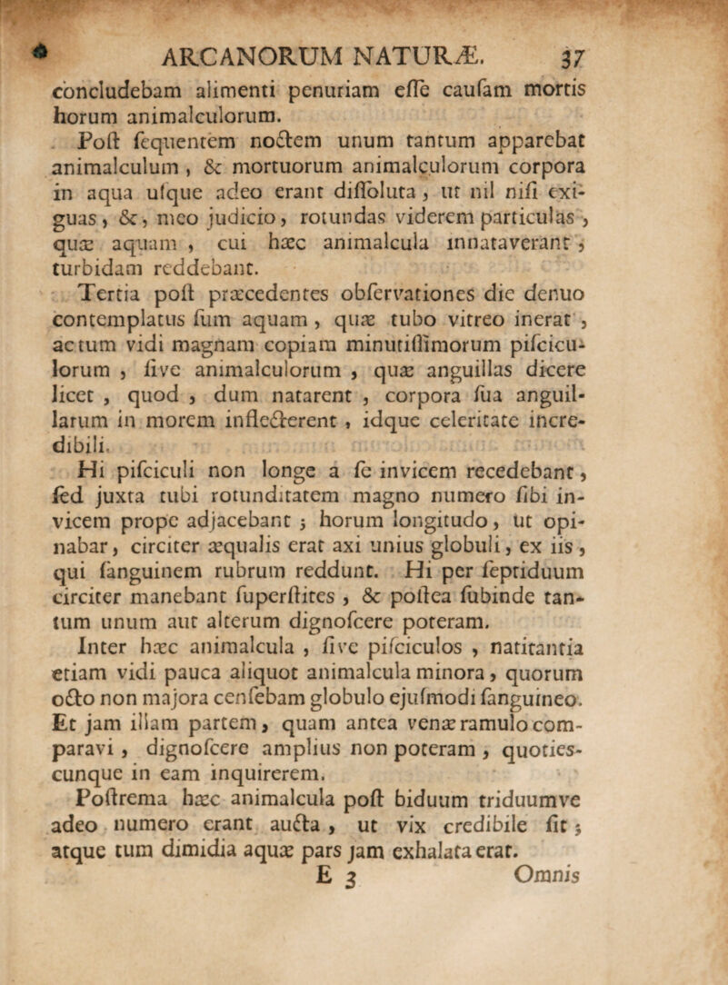 concludebam alimenti penuriam effe caufam mortis horum animalculorum. Pofl: fequentem nodem unum tantum apparebat animalculum , tk mortuorum animalculorum corpora in aqua ufque adeo erant diflbluta , ut nil nili exi¬ guas , meo judicio, rotundas viderem particulas , quo aquam , cui hoc animalcula innataverant , turbidam reddebant. Tertia poli procedentes obfervationes die denuo contemplatus fum aquam , quo tubo vitreo inerat , actum vidi magnam copiam minutiflimorum pifcicu- lorum , live animalculorum , quo anguillas dicere licet , quod , dum natarent , corpora fua anguil¬ larum in morem inflederent , idque celeritate incre¬ dibili, Hi pifciculi non longe a le invicem recedebant, fed juxta tubi rotunditatem magno numero flbi in¬ vicem prope adjacebant 5 horum longitudo, ut opi¬ nabar, circiter oqualis erat axi unius globuli, ex iis, qui languinem rubrum reddunt. Hi per lepriduum circiter manebant fuperftites , & poflea fubinde tan¬ tum unum aut alterum dignofcere poteram. Inter hoc animalcula , live pifciculos , natitantia etiam vidi pauca aliquot animalcula minora, quorum odo non majora cenfebam globulo ejufmodi fanguineo. Et jam illam partem, quam antea veno ramulo com¬ paravi , dignofcere amplius non poteram , quoties- cunque in eam inquirerem. Poftrema hoc animalcula pofl: biduum triduumve adeo numero erant auda , ut vix credibile lit$ atque tum dimidia aquo pars jam exhalata erat. E 3 Omnis