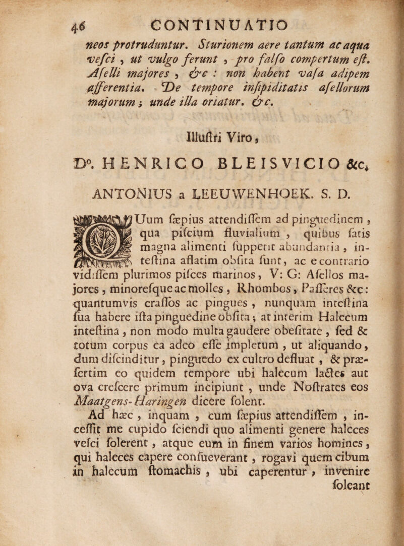 ne os protruduntur. S'turionem aere tantum ac aqua vefci , ut vulgo ferunt , pro falfo compertum efl. AfeUi majores , &c : non habent vafa adipem ajferentia. *De tempore infipiditatis afellorum majorum; unde illa oriatur. &c. Uluflfi VifO, D°. HENRIGO BLEIS VI CIO ANTONIUS a LEEUWENHOEK. S. D. Uum fepius attendiflem ad pinguedinem ? qua pifeium fluvialium , quibus fatis magna alimenti fuppetit abundantia * in- teftina aflatim obfita funt, ac e contrario vidifleni plurimos pifces marinos, V: G: Afellos ma¬ jores , minorefque ac molles , Rhombos, Pafleres &c: quantumvis craflos ac pingues , nunquam mteftina fua habere ifta pinguedine obfita*, atinrerim Halecum inteftina , non modo multa gaudere obefitate , fed & totum corpus ea adeo efle impletum , ut aliquando, dum difeinditur, pinguedo ex cultro defluat , &c pra> fertim eo quidem tempore ubi halecum la£tes aut ova crefcere primum incipiunt , unde Noflrates eos Maatgens- Haringen dicere folenr. Ad ha?c , inquam , cum fepius attendiflem , in- cefiit me cupido fciendi quo alimenti genere haleces vefci folerent, atque eum in finem varios homines, qui haleces capere confueverant, rogavi quem cibum in halecum ftomachis , ubi caperentur > invenire foleant