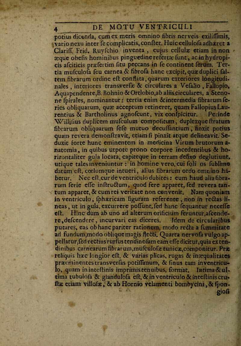 potius dicenda, cum ex meris omnino fibris nerveis exiliffimis, vario nexu inter fe complicatis, conflet. Huic cellulofa adhaeret a ClarifT.-Frid« Ruyfehio inventa , cujus cellulae etiam in non seque obefis hominibus pinguedinerefeme fune, acinhydropi- cis afciticis praefertim fitu peccans in fe continent ferum. Ter¬ tia mufculofa feu carnea & fibrofa hanc excipit, quae duplici fal¬ cem fibrarum ordine efl conflata,quarum exteriores longitudi- nales , interiores transverfae & circulares a Vefalio , Falfopio, Aquapendente,B.Bohnio &Ortlobio,ab aliiscirculares, a Steno- ne fpirales, nominantur: tertia enim & intermedia fibrarum fe¬ ries obliquarum, quae acceptum retineret, quam FallopiusLau¬ rentius & Bartholinus agnofeunt, vix confpicitur. Perinde 'Willifius duplicem mufculum compofitum , duplexqueflratmn fibrarum obliquarum fefe mutuo decufiantium, finxit potius quam revera demonftravit, etiam fi pinxit atque delineavit. Se¬ duxit forte hunc eminentem in medicina Virum brutorum a- natomia* in quibus utpote prono corpore incedentibus & ho- rizontaliter gula locata, capiteque in terram defixo deglutiunt» utique tales inveniuntur : in homine vero, cui foli os fublime datum efl, coelumque intueri, alius fibrarum ordo omnino ha¬ betur. Nec effcur de ventriculo dubites: eum haud aliafibra- rum ferie effe inftru£tum, quod fere apparet, fed revera tan¬ tum apparet, & cum rei veritate non convenit* Nam quoniam in ventriculo, fphacricam figuram referente, non in re&as li¬ neas, ut in gula, excurrere poliunt, fed hanc fequantur neceffe efl, Hinc dum ab uno ad alterum orificium feruntur,afcende- re^defeendere, incurvari eas diceres. Idem de circularibus putares, eas ob hanc pariter rationem, modo redla a fummitate ad fundum,modo oblique magis fie6ti* Quarta nervofa vulgo ap¬ pellatur,fed rectius rurfus tendinofam eam effe dicitur,quia ex ten¬ dinibus carnearum fibrarum,mufcufofas tunicae,componitur. Prae reliquis haec longior efl, & varias plicas, rugas & inaequalitates praeeminentes transverfas potiflimum, & finus tam inventricu- lo, quam ininteflinis imprimis tenuibus, format* !ntima*& ul¬ tima tubulofa & glandulofa efl, & in ventriculo & intefliniscru- ftae etiam villofar> Sc ab Hornio velamenti bombycini, & fpon. * v gtofi