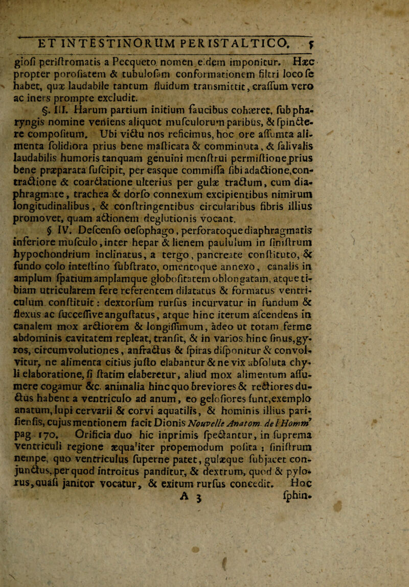 giofi periffromatis a Pecqueto nomen e.dpa imponitur, Haec propter porofiatem & tubulofam conformationem filtri loco (e habet, quae laudabile tantum fluidum transmittit, craffum vero ac iners prompte excludit. §. III. Harum partium initium faucibus cohaeret, fub pha¬ ryngis nomine veriiens aliquot mufcuiorum paribus, &fpindte- re compofitum, Ubi vidtu nos reficimus, hoc ore affutura ali¬ menta folidiora prius bene maf!icata& comminuta, & falivalis laudabilis humoris tanquam genuini menflrui permiftione prius bene praeparata fufcipit, per easque commiffa fibi adadhone,con¬ tractione <5c coardtatione ulterius per gulae tradtum, cum dia¬ phragmate , trachea & dorfo connexum excipientibus nimirum longitudinalibus, & conftringentibus circularibus fibris illius promovet, quam adtionem deglutionis vocant. § IV. Defcenfo oefophago, perforatoquediaphragmatis inferiore mufculo, inter hepar & lienem paululum in fjmftrum hypochondrium inclinatus, a tergo, pancreate conffituto, & fundo colo inteltino fubftrato, omcntoque annexo, canalis in amplum fpatium amplamque globofitatemoblongatain.atquetr- biam utricularem fere referentem dilatatus & formatus ventri¬ culum conflit uit: dextorfum rurfus incurvatur in fundum & flexus ac fuccefliveanguftatus, atque hinc iterum afcendens in Canalem mox ardiiorem & longilTimum, adeo ut totam ferme abdominis cavitatem repleat, tranfit, & in varios hinc finus,gy- ros, circumvolutiones, anfradtus & (pirasdifponitur & convol¬ vitur, ne alimenta citius jufto elabantur & ne vix abfoluta chy¬ li elaboratione, II flatim elaberetur, aliud mox alimentum affu- mere cogamur &c. animalia hinc quo breviores & redtioresdu- dtus habent a ventriculo ad anum, eo gelo fi ores funt,exempla anatum,lupi cervarii & corvi aquatilis, & hominis illius pari- fienfis, cujus mentionem facit Dionis Nouvelle Anatom. de IHomm pag 170, Orificia duo hic inprimis fpedhntur, in fuprema ventriculi regione sequa7iter propemodum polita : finifirum nempe, quo ventriculus (uperne patet, gulaeque fub jacet con- jundfus, per quod introitus panditur, & dextrum, quod & pylo* rus>Quafi Janitor vocatur, & exitum rurfus concedit. Hoc