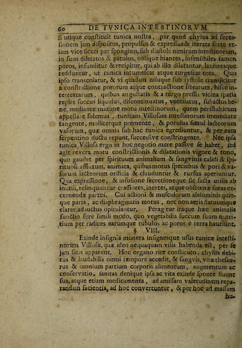 DE TVNICA 1NTE STINTOR VM __ jfi utique conflituit tunica noftra, per quod chyius ad feces- fionem janl difpofitus, propulfus St expreffus St iterata forte et¬ iam vice ficuti per fpongianvfub diaftole nimirum intefiinorum, in fuos dilatatos & patulos, oblique hiantes, infenfibiles tamen poros, infunditur St recipitur, qui ab illo dilatantur, iaxioresque redduntur, ut tunica intumefcat atque turgefcat tota. Quo ipfo rranscolatur, St vi quadam nifuque fub fy&ole transjicitur a conflridiione pororum atque contradfione fibrarum, hifcein- tercexcarum , quibus anguhatis St a tergo preffii vicina fpatia replet fuccus liquidus, difcontinuatus, ventilatus, fubadtusbe¬ ne, mediante maxime motu inteflinorum, quem periflalticum appellare folemus , tunicam Villo fam inteflinorum immediate tangente, molliterque premente, & poruius fimul ladleorum vaforum, quae omnia fub hac tunica egrediuntur. St per eam ferpentino dudtu repunt, fuccesfive conflringente. Necipfa tunica .Viliofa ergo in hoc negotio mere pallive fe habet , fe4 agit revera motu conftddfronis St dilatationis vigore St tono, quo gaudet per fpirituum animalium St fangvinis calidi & fpi- rituofi affluxum, animata, quibusmotus fpeciebus St pori& va¬ forum iadteorum orificia St clauduntur St rurfus aperiuntur. Qua expreflione, St infufione fecretioneque fic fadla utilis ab inutili, relinquuntur craffiores, inertes, atque obfcoenat foras ex¬ cernenda partes. Cui adiioni St rnufculorum abdominis quin¬ que paria , ac diaphragmatis motus , nec non aeris fiatuumque dater.adaudtus opitulantur. Perag tur itaque hxc animalis fundlio fere fimiii modo, quo vegetabilia fuccum fuum nutri¬ tium per radices earumque tubulos ac poros e terra hauriunt. > VllL Exinde infigma munera inlignesque ufus tunicae Intefli¬ norum Villofaevquae ideo nequaquam vilis habenda cfl, per fe jam fatis apparent. Hoc organo rite conflituto, chylus debi¬ tus St laudabilis omni tempore accedit, St fangvis, vitas thdau- rus St omnium partium corporis alimentum y augmentum ac confervatior fanitas denique i-pfa ac vita exinde fponte fluunt fua, atque etiam medicamenta , ad amiffam valetudinem repa¬ randam facientia* ad hoc convertuntur» & per hoc ad maffam >2..' -  hu*