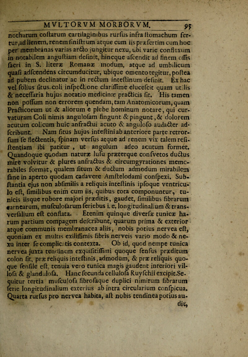 notharum coftarum cartilaginibus rurfus infra ftomachum fer¬ tur, ad lienem, renem iiniftrum atque cum iis prsefertim cum hoc per membranas varias ardo jungitur nexu, ubi varie conflexum 'in notabilem anguftiam definit, hincque afcendit ad finem oflis facri in S. literae Romanae modum, atque ad umbilicum quafi adfcendens circumducitur, ubique omentotegitur,poftea ad pubem declinatur ac in redum inteflinum definit. Ex hac vel folius fitus coli infpedtone ciariilime elucefcit quam utilis & neceflaria hujus notatio medicina pradticis fit. His tamen non poffum non errorem quendam, tam Anatomicorum, quam Pradicorum ut & aliorum e plebe hominum notare, qui cur¬ vaturam Coli nimis anguLofam fingunt & pingunt, & dolorem acutum colicum huic anfradui acuto & angulofo audader ad* fcribunt. Nam fitus hujus inteftini ab anteriore parte retror- fum fe fledentis, fpinam verfus atque ad renem vix talem refi. ftentiam ibi patitur , ut angulum adeo acutum formet. Quandoque quodam naturae lufu praeterque confvetos dudus mire volvitur & plures anfradus & circumgyrationes memo¬ rabiles format, qualem fitum & dudum admodum mirabilem ftnein aperto quodam cadavere Amftelodami confpexi. Sub- flantia ejus non abfimilis a reliquis inteflinis ipfoque ventricu¬ lo eft, fimilibus enim cum iis, quibus tota componuntur, tu¬ nicis iisque robore majori praeditis, gaudet, fimilibus fibrarum carnearum, mufculofarum feriebus i. e. longitudinalium & trans- verfalium eft conflata. Etenim quinque diverfae tunicae ha¬ rum partium compagem defcribunt, quarum prima & exterior atque communis membranacea aliis, nobis potius nervea eft, quoniam ex multis exiliffimis fibris nerveis vario modo & ne¬ xu inter fe complicatis contexta. Ob id, quod nempe tunica nervea juxta tendinem exquifitiflimi quoque fenfus praeditum colon fit, prae reliquisinteftinis,admodum, & prae reliquis quo¬ que fenfile eft, tenuia vero tunica magis gaudent interiori vil- lofa & glandulofa. Hanc fecunda cellulofa Ruy fchii excipit.Se- quicur tertia mufculofa fibrofaque duplici nimirum fibrarum ferie longitudinalium exterius ab intra circularium confpicua. Quarta rurfus pro nervea habita, aft nobis tendinea potius au¬ dit,