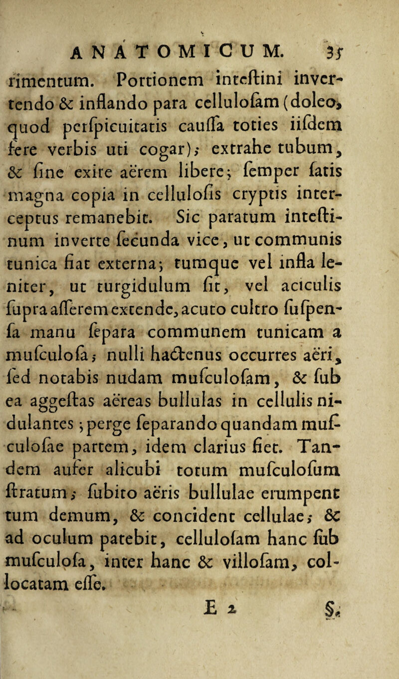 rimentum. Portionem inteftini inver¬ tendo & inflando para ccllulofam (doleo* quod pcrfpicuitatis caufla toties iifdem fere verbis uti cogar),- extrahe tubum, Sc fine exire aerem libere; femper fatis magna copia in cellulofis cryptis inter¬ ceptus remanebit. Sic paratum intefti- num inverte fecunda vice, ut communis tunica fiat externa-, tumque vel infla le¬ niter, ut turgidulum fit, vel aciculis fupraafleremextende,acuto cultro fufpen- fa manu fepara communem tunicam a mufculofa,- nulli hadrenus occurres aeri, fed notabis nudam mufculofam, & fub ea aggeftas aereas bullulas in cellulis ni- dulantes ; perge feparandoquandammu£ culofae partem, idem clarius fiet. Tan¬ dem aufer alicubi totum mufculofum ftratum,- fiubito aeris bullulae erumpent tum demum, &c concident cellulae,- &C ad oculum patebit, cellulofam hanc fub mufculofa, inter hanc &c villofam, col¬ locatam efle. Ei §,