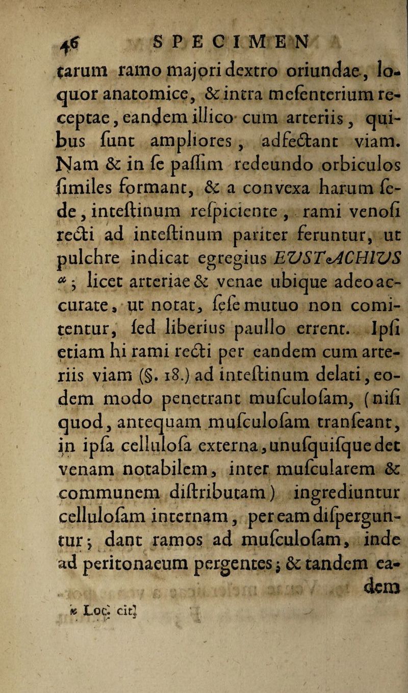 (arum ramo majpri dextro oriundae , lo¬ quor anatomice, & intra meienterium re¬ ceptae , eandem iliico cum arteriis , qui¬ bus funt ampliores, adfe&ant viam. bJam & in fe pafhm redeundo orbiculos fimiles fprmant, & a convexa harum fe- de , inteftinum refpiciente , rami venofi recti ad inteftinum pariter feruntur, ut pulchre indicat egregius EZJSTeACHIZJS <* j licet arteriae & venae ubique adeoac- curate, ut notat, fele mutuo non comi¬ tentur, fed liberius paullo errent. Ipfi etiam hi rami retSti per eandem cum arte¬ riis viam (§. 18.) ad inteftinum delati,eo¬ dem modo penetrant mufculofam, (nili quod, antequam mufculofam tranfeant, in ipfa cellulofa externa, unufquifque det venam notabilem , inter mufcularem & communem diftributam) ingrediuntur cellulofam internam, per eam difpergun- tur-, dant ramos ad mufculofam, inde ad peritonaeum pergentes $ & tandem ea¬ dem » Lqc^ citj