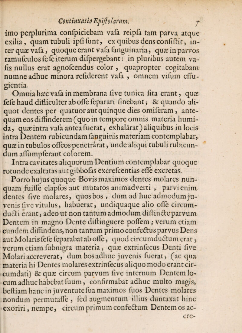 imo perplurima confpiciebam vafa reipfa tam parva atque exilia, quam tubuli ipfi fu nt, ex quibus dens confidit, in- terquarvafa, quoque erant vafa fanguinaria, qux in parvos ramufculos fefe iterum difpergebant: in pluribus autem va- fis nullus erat agnofcendus color , quapropter cogitabam numne adhuc minora refiderent vafa , omnem vifum effu¬ gientia. Omnia haec vafa in membrana five tunica fita erant, quae fefe haud difliculter ab offe feparari finebant * & quando ali¬ quot dentes per quatuor aut quinque dies omiferam , ante¬ quam eos diffinderem (quo in tempore omnis materia humi- da, quae intra vafa antea fuerat, exhalarat) aliquibus in locis intra Dentem rubicundam languinis materiam contemplabar, quae in tubulos offeos penetrarat, unde aliqui tubuli rubicun¬ dum affumpferant colorem. Intra cavitates aliquorum Dentium contemplabar quoque rotunde exaltatas aut gibbofas excrefcentias efle excretas. Porro hujus quoque Bovis maximos dentes molares nun¬ quam fuiffe elapfos aut mutatos animadverti , parvi enim dentes five molares, quos bos , dum ad huc admodumju- venis live vitulus, habuerat, undiquaque alio ofle circum- dufti erant, adeo ut non tantum admodum diftin&eparvum Dentem in magno Dente diftinguere poffem; verum etiam eundem diffindens, non tantum primo confeftus parvus Dens aut Molaris fefe feparabat ab offe, quod circumduftum erat 5 verum etiam fubnigra materia, qua: extrinfecus Denti five Molari accreverat, dum bos adhuc juvenis fuerat, (aequa materia hi Dentes molares extrinfecus aliquo modo erant cir¬ cumdati) & qua: circum parvum five internum Dentem lo¬ cum adhuc habebat fuum, confirmabat adhuc multo magis, beftiam hanc in juventute fua maximos fuos Dentes molares nondum permutaffe , fed augmentum illius duntaxat hinc exoriri, nempe, circum primum confeftum Dentem os ac-