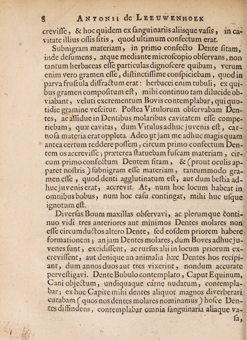 crevifle, Sc hoc quidem ex fanguinariis aliisque vafis, inca« vitate illius ollis fitis , quod ultimum confectum erat. Subnigram materiam, in primo confecto Dente fitam» inde defumens, atque mediante microfcopio obfervans, non tantum herbaceas elle particulas dignofcere quibam, verum enim vero gramen elle, diftinctiffimeconfpiciebam, quod in parva fruftula diffra&um erat: herbacei enim tubuli, ex qui¬ bus gramen compofitumeft, mihi continuo tam dilucide ob¬ viabant, veluti excrementum Bovis contemplabar, qui quo¬ tidie gramine vefcitur. Poftea Vitulorum obfervabam Den¬ tes, ac aHidue in Dentibus molaribus cavitatem elle compe- riebam, quae cavitas, dum Vitulus adhuc juvenis eft, car- nofa materia erat oppleta. Adeoutjam meadhucmagisquara antea certum reddere poflem, circum primo confectum Den¬ tem os accrevifle; praeterea ftatuebam fufcam materiam , cir¬ cum primo confectum Dentem liram, & (jprout oculis ap¬ paret noltris } fubnigram elle materiam, tantummodo gra¬ men elle , quod denti agglutinatum eft , aut dum beltia ad- hucjuveniserat, accrevit. At, num hoc locum habeat in omnibus bobus, num hoc cafu contingat, mihi huc ufque ignotum eft. Diverfas Boum maxillas obfervavi, ac plerumque conti¬ nuo vidi tres anteriores aut minimos Dentes molares non efte circumduflos altero Dente, fed eofdem priorem habere formationem 3 an jam Dentes molares, dum Boves adhuc ju- venesfunt, excidiflent, ac rurfus alii in locum priorum ex- creviffent^ aut denique an animalia hxc Dentes hos recipi¬ ant, dum annos duos aut tres vixerint, nondum accurate perveftigavi. Dente Bubulo contemplato, CaputEquinum, Cani objectum, undiquaque carne nudatum, contempla¬ bar 5 ex hoc Capite mihi dentes aliquot magnos diverberari curabam (quos nos dentes molares nominamus ) hofce Den¬ tes diffindens, contemplabar omnia fanguinaria aliaque va- •