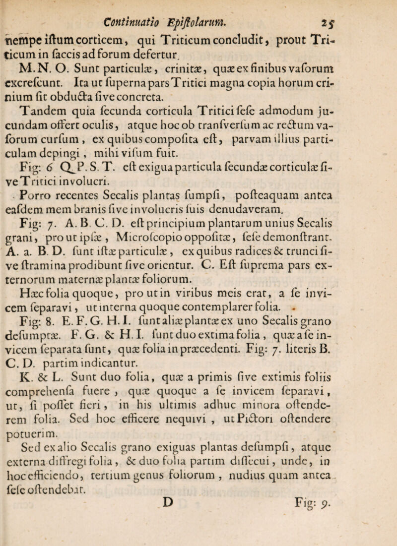 nempe iftum corticem, qui Triticum concludit, prout Tri¬ ticum in faecis ad forum defertur. M.N. O. Sunt particulas, crinitas, quas ex finibus vaforum cxcrefcunt. Ita ut fuperna pars Tritici magna copia horum cri¬ nium fit obdudta five concreta. * Tandem quia fecunda corticula Tritici fefe admodum ju¬ cundam offert oculis, atque hocob tranfverfum ac redtum va- forumcurfum, ex quibuscompofita eft> parvam illius parti¬ culam depingi, mihi vifum fuit. Fig: 6 aP-S-T. efl: exigua particula fecundas corticulas fi- veTntici involucri. . Porro recentes Secalis plantas fumpfi, pofteaquam antea eafdem mem branis five involucris fu is denudaveram. Fig: 7. A.B C.D. efl principium plantarum unius Secalis grani, proutipfas, Microfcopiooppofitas, fefedemonftranr. A. a. B D. funt tftas particulas, ex quibus radices & trunci fi- ve ftramina prodibunt five orientur. C. Efl: fuprema pars ex¬ ternorum maternas planras foliorum. Hascfolia quoque, pro ut in viribus meis erat, a fe invi¬ cem feparavi, ut interna quoque contemplarer folia. . Fig: 8. E.F.G. H.l. funt alias plantas ex uno Secalis grano defumptae. F.G. & H. I. funt duo extima folia , quas a fe in¬ vicem feparata funt, quae folia in prascedenti. Fig: 7. literis B. C.D. partimindicantur. K. & L. Sunt duo folia, quae a primis five extimis foliis comprehenfa fuere , quas quoque a fe invicem feparavi, ut, fi pollet fieri, in his ultimis adhuc minora offende¬ rem folia. Sed hoc efficere nequivi , utPifton offendere potuerim. Sed ex alio Secalis grano exiguas plantas defumpfi, atque externa diffregi folia , Sc duo folia partim diffecui, unde, in hoc efficiendo, tertium genus foliorum , nudius quam antea, fele offendebat. D Fig: j>.