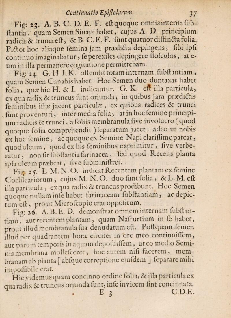 Fig: 23. A. B. C. D. E. F. eft quoque omnis interna fub- ftantia, quam Semen Sinapi habet, cujus A. D. principium radicis & trunci eft, & B. C.E.F. funtquatuordiftinfta folia. Piftorhoc aliaque femina jam prsdi&a depingens, fibi ipfi continuo imaginabatur, le perexiles depingere flolculos, at e- um in illa permanerecogitationepermittebam. Fig: i.\, G. H. I. K. oftendittoram internam fubftantiam, quam Semen Canabis habet. Hoc Semen duo duntaxat habet folia, quxhic H. & I. indicantur. G. K. eft illa particula, ex qua radix 8c truncus lunt oriunda 5 in quibus jam prxdi£tis feminibus iftre jacent particula: , ex quibus radices & trunci . funt proventuri, intermedia folia j at in hoc femine principi¬ um radicis £c trunci, a foliis membranula live involucro (quod quoque folia comprehendit ^(eparatum jacet; aoco ut nobis ex hoc femine, ac quoque ex Semine Napi clariflime pateat, quod oleum , quod ex his feminibus exprimitur , five verbe¬ ratur, non fit fubftantia farinacea , fed quod Recens planta ipfa oleum praebeat, live lubminiftret. ■ Fim 2f. LM.N.O. indicat Recentem plantam ex femine Cochleariorum , cujus M. N. O. duo funt folia, & L. M. eft illa particula , ex qua radix & truncus prodibunt. Hoc Semen quoque nullam infe habet farinaceam fubftantiam, ac depic¬ tum eft, proutMicrofcopioeratoppofitum. Fim 26. A. B. E. D. demonftrat omnem internam fubftan¬ tiam , aut recentem plantam, quam Nafturtium in ie habet, prout illud mcmbranulafua denudatum eft. Poftquam femen illud per quadrantem hora: circiter in ore meo continuiflem, aut parum temporis in aquam depofuifiem, ut eo medio Semi¬ nis membrana mollelceret•, hoc autem mfi facerem, mem¬ branam ab planta [abfquc correptione ejufdem J fepararemihi impoffibile erat. Hic videmus quam concinno ordine folia, & illa particula ex ciua radix Sc truncus oriunda funr, infe invicem fint concinnata. 1 ' - E 3 C.D.E.