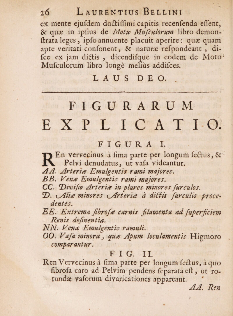 ex mente ejufdem dofriflimi capitis recenfenda edent, Sc quae in iplius de Motu Mufculorum libro demon- ftrata leges , ipfo annuente placuit aperire : quae quam apte veritati confonent, & naturae refpondeant , di- fcc ex jam diftis , dicendifque in eodem de Motu Mufculorum libro longe melius addifces. L A U S D E O. FIGURARUM EXPLICATIO. FIGURA I. REn vervecinus a fima parte per longum feftus, & Pelvi denudatus , ut vafa videantur. A A. Arteria Emulgentis rami majores. BB. Vena Emulgentis rami majores. CC. TDivifio Arteria in plures minores furculos. T>. t^Alia minores i^Arteria a diffis furculis proce¬ dentes. EE. Extrema fibrofa carnis filamenta ad fuperficiem Renis definentia. NN. Vena Emulgentis ramuli. 00. Vafa minora ^ qua Apum loculamentis Higmoro comparantur. F I G. II. Ren Vervecinus a fima parte per longum fe£tus, a quo fibrofa caro ad Pelvim pendens feparata eft, ut ro¬ tundae vaforum divaricationes appareant. AA. Ren