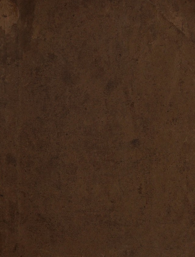 digitised image 1