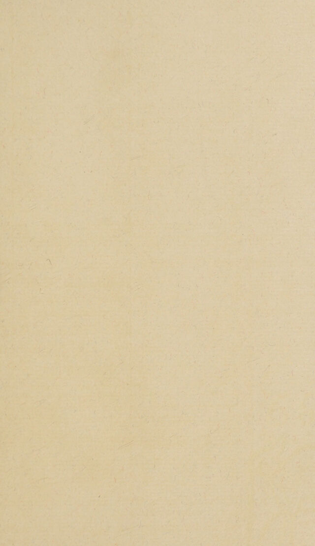 digitised image 3