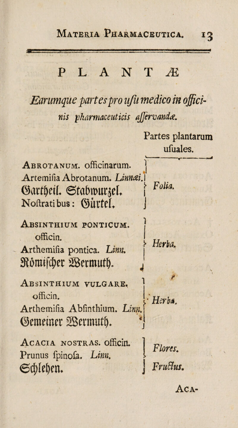 M P L A N T M Earumque partes pro ufu medico in offici¬ nis pharmaceuticis ajjervanda. Partes plantarum ufuales. Abrotanum. officinarum. Artemifia Abrotanum. Linruei.l 1 .1 ©attljetf. 6tabwur$el, Noftrati bus: ©Utfcl, Absinthium ponticum. officin. Arthemifia pontica. Linn. 3Wmij$er Secmufl). !• Folia. 1 i* Herba. 4 Absinthium vulgare, officin. Arthemifia Abfinthium. Linn. ©ememer SSenmifij. 4 Acacia nostras, officin. Prunus fpinofa. Linn. 6$lebetu A • Herba. Flores. Fru&us. Ac a-
