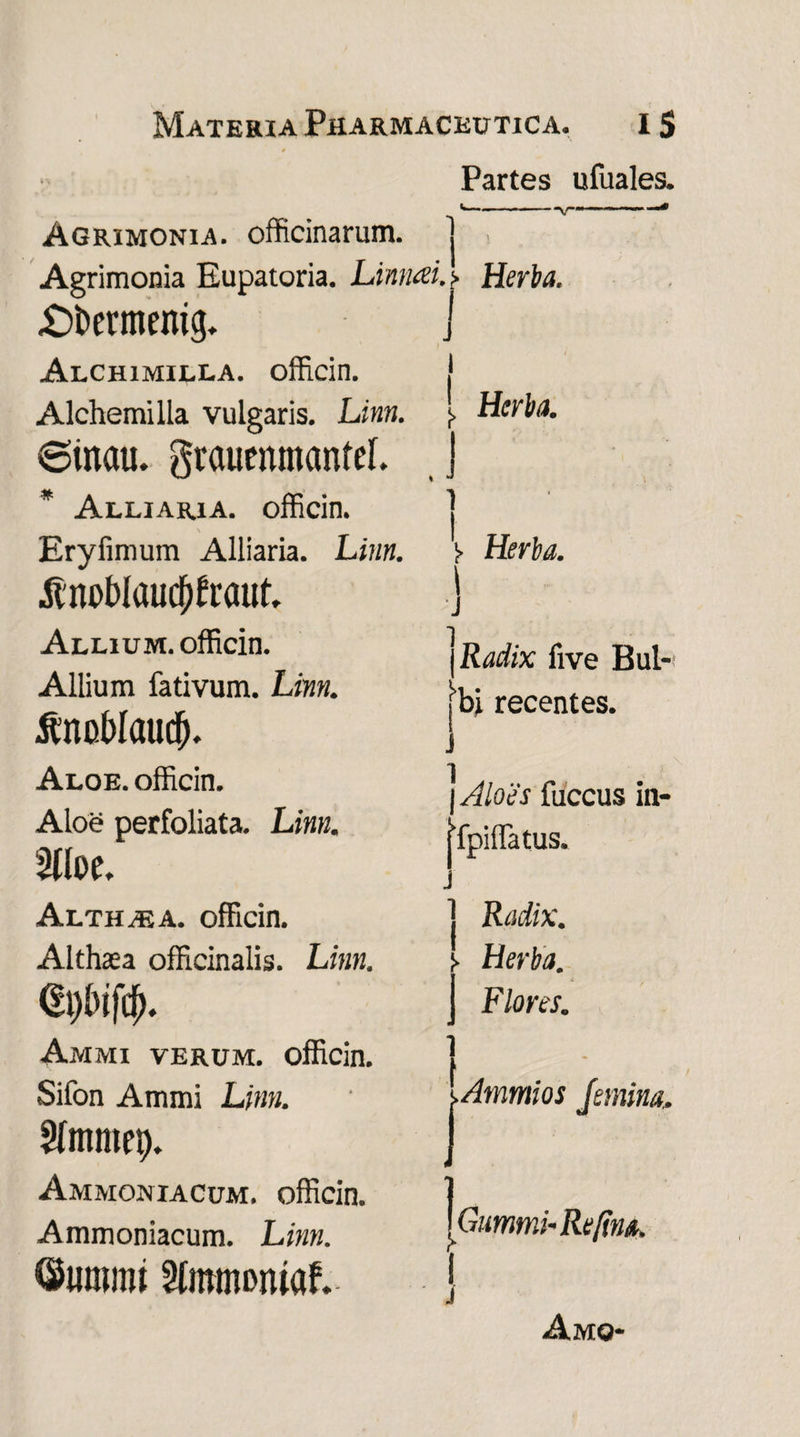 Partes ufuales. Agrimonia, officinarum, j . Agrimonia Eupatoria. Limuei. f. Herba. £)t>ermemg. J Alchimilla. officin. J Alchemilla vulgaris. Li>m. *. Herba. 6inau. grauenmanfeL j Alliaria. officin. 1 I Radix live Bul- recentes. Eryfimum Alliaria. Linn. )■ Herba. $m>Waud)fraut, ) Allium, officin. Allium fativum. Linn. JtnoblaucD. Aloe, officin. Aloe perfoliata. Linn. 2Uoe. Alth/ea. officin. Althaea officinalis. Linn. dplnfd). Ammi verum, officin. Sifon Ammi Linn. Sfmmep. Ammoniacum. officin. Ammoniacum. Linn. ©iimitu Stmmoniaf. j i | Aloes fuccus in- jTpiffatus. j j Radix. !■ Herba. j Flores. I Ammios femina. Gimmi-Refma. I Amo-