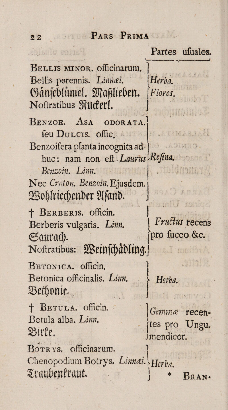 I 2 2 Pars Prima Partes ufuales. Herba. Bellis minor, officinarum. Bellis perennis. Liirim. ©dnfeblumel 3JJ($lte&etn [Flores. Noflratibus Benzoe. Asa odorata. feu Dulcis, offic. Benzoifera planta incognita ad¬ huc : nam non eft Laurus \FeJina. Benzoin. Limi. Nec Croton. Benzoin. Ejusdc-m. 2Bof){ried)ettber 2lfant>. f Berberis. officin. | Berberis vulgaris. Linn. i Fruftus recens ©auracp. e Pro fucco &c- Noflratibus: Betonica, officin. Betonica officinalis. Linn. S>etl)onie. t Betula, officin. Betula alba. Limi. Botris, officinarum. ChenopodiumBotrys. Lim<zi.\uer^u 1 j- Herba. i j | Gemmee recen¬ tes pro Ungu. mendicor. I J Bran-