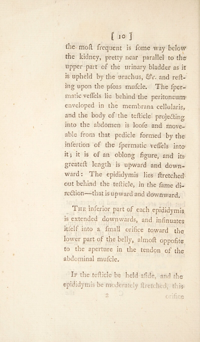 the riiofl frequent is forne way below the kidney, pretty near parallel to the upper part of the urinary bladder as it is upheld by the urachus, &c. and red¬ ing upon the pfoas niufcle. The fper- matic velfels lie behind the peritone-um‘’ enveloped in the membrana cellularis, and the body of the tefticle projedting into the abdomen is loofe and move- able from that pedicle formed by the infertion of the fpermatic veffels into it; it is of an oblong figure, and its greated length is upward and down¬ ward : The epididymis lies dretched- out behind the tedicle, in the fame di- redtion—--that is upward and downward. The inferior part of each epididymis is extended downwards, and infinuates itfelf into a fmall orifice toward the lower part of the belly, almod oppofite to the aperture in the tendon of the abdominal mufcle. If the tedicle be epididymis be mode held afide, and the rarely firerched-, this O' C r AlC^