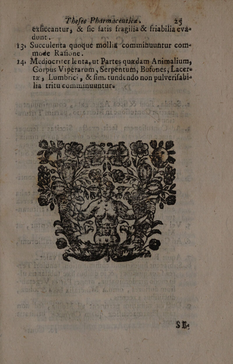 Thefes Plashacaiiós. j E ^ ékliécanturj &amp; fic fatis pi ient friabilia evds dunt. 13: Succulenta quoqué riollia ^ómmihuuhtur coti» mode Rafione. 144 Mediocriter lenta,ut Partes quxdam Animalium, Gorpüs Vipéraram , Serpéntutn, Bufones ; Lacete tx Lumbrici , &amp; fim. tundendo non pulverifabi- lia tritu comininuuntura. 5E