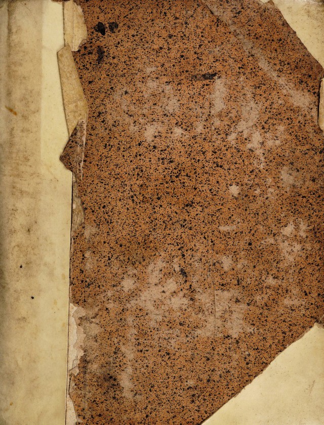 digitised image 1