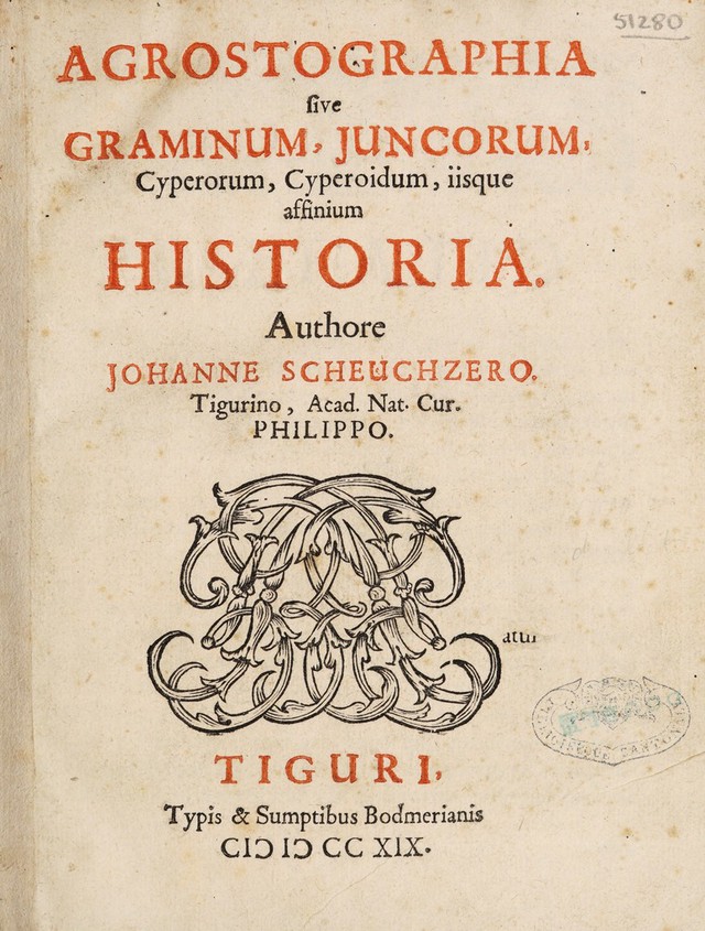 digitised image 3
