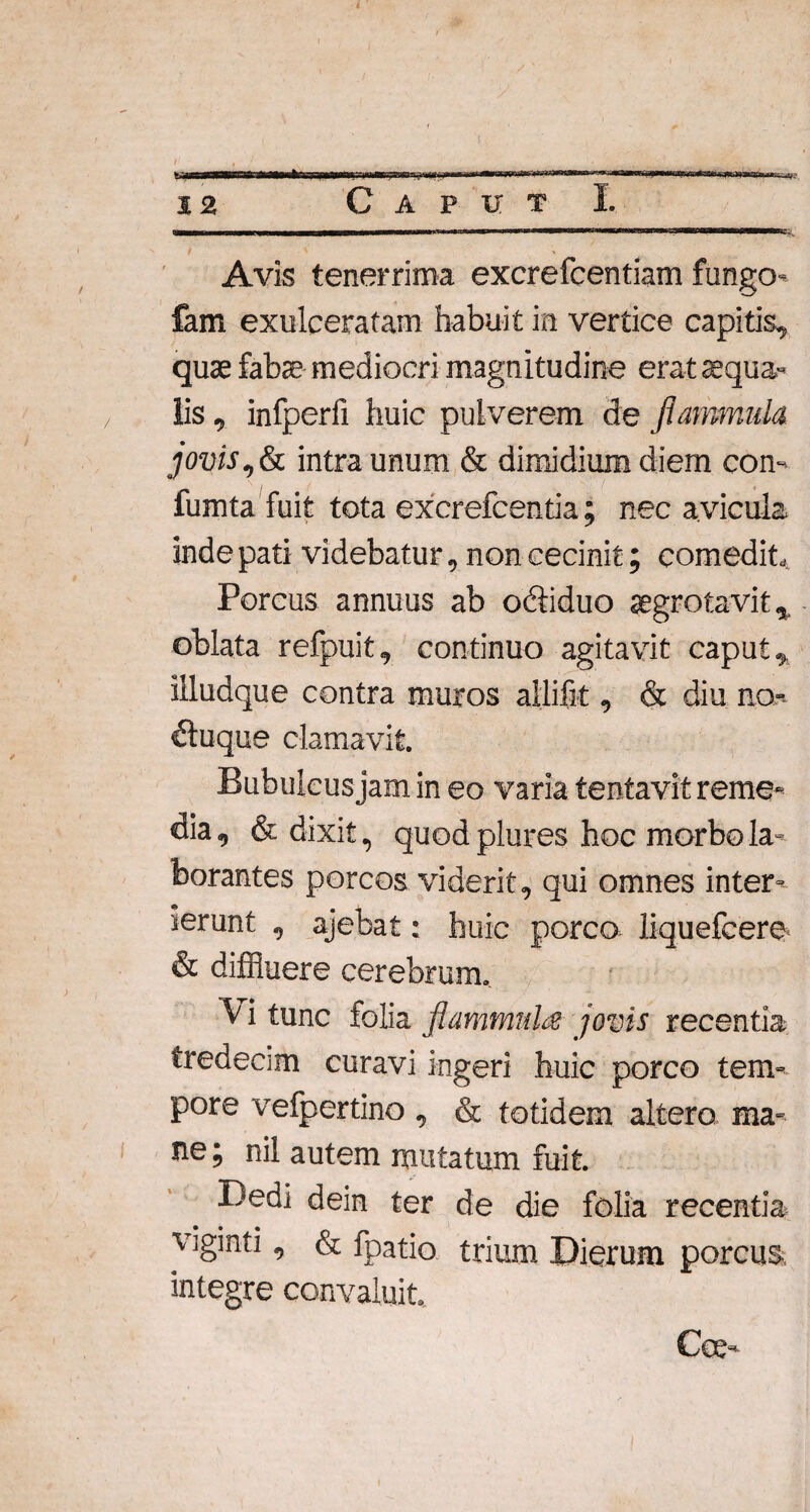 12 Caput I. Avis tenerrima excrefcentiam fungo fam exulceratam habuit in vertice capitis, quae fabae mediocri magnitudine erat aequa¬ lis , infperfi huic pulverem de flammula jovis,& intra unum & dimidium diem con- fumta fuit tota excrefcentia; nec avicula inde pati videbatur, non cecinit; comedit». Porcus annuus ab octiduo aegrota vi t, oblata refpuit, continuo agitavit caput, illudque contra muros allifit, & diu no-. dluque clamavit Bubulcus jam in eo varia lentavit reme¬ dia , & dixit, quod plures hoc morbo la¬ borantes porcos viderit, qui omnes inter¬ ierunt , ajebat: huic porco liquefcere & diffluere cerebrum. 'V i tunc folia flammula jovis recentia tredecim curavi ingeri huic porco tem¬ pore vefpertino , & totidem altera ma¬ ne ; nil autem mutatum fuit Dedi dein ter de die folia recentia v iginti, & fpatio trium Dierum porcus, integre convaluit