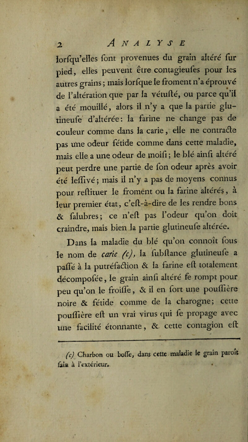 Jorfqu’elîes font provenues du grain altéré fur pied, elles peuvent être contagieufes pour les autres grains ; mais iorfque ie froment n’a éprouvé de l’altération que par la vétufté, ou parce qu’ii a été mouillé, alors il n’y a que la partie glu- tineufe' d’altérée: la farine ne change pas de couleur comme dans la carie, elle ne contraéle pas une odeur fétide comme dans cette maladie, mais elle a une odeur de moifi ; le blé ainfi altéré peut perdre une partie de fon odeur après avoir été leffivé ; mais il n’y a pas de moyens connus pour reftituer le froment ou la farine altérés, à leur premier état, c’efl-à-dire de les rendre bons & falubres; ce n’ell pas l’odeur qu’on doit craindre, mais bien la partie glutineufe altérée. Dans la maladie du blé qu’on connoît fous le nom de carie (c), la fubftance glutineufe a palTé à la putréfadion & la farine efl; totalement décompofée, le grain ainfi altéré fe rompt pour peu qu’on le froilfe, & il en fort une poulTière noire & fétide comme de la charogne; cette poulTière eft un vrai virus ([ui fe propage avec une facilité étonnante, & cette contagion eft (c) Charbon ou bolTe, dans cette maladie le grain paroit fais à l’extérieur».