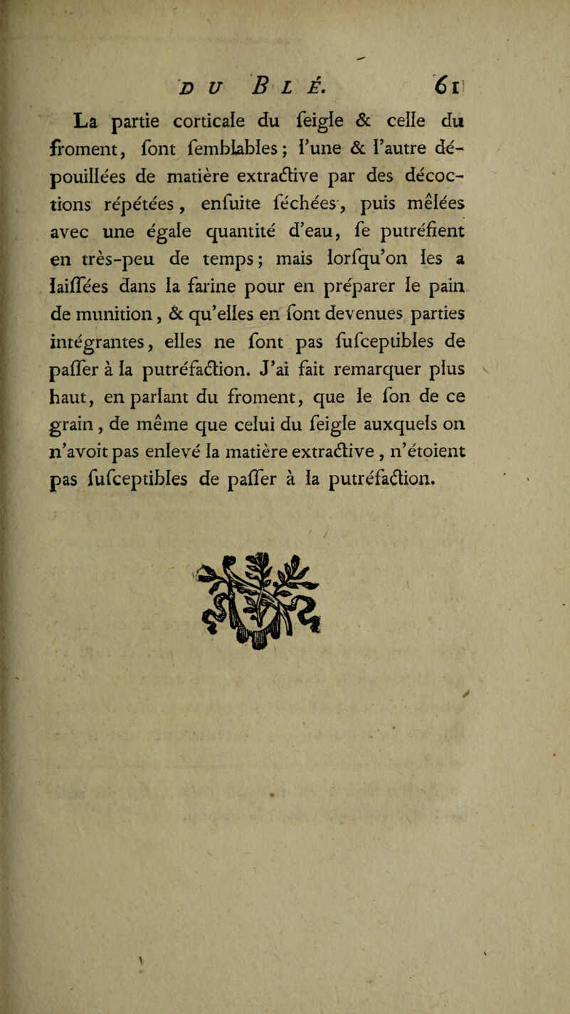 l DU B L É. 6l La partie corticale du feigle & celle du fi'oment, font femblabîes ; i’une & Tautre dé¬ pouillées de matière extraéUve par des décoc¬ tions répétées , enfuite féchées, puis mêlées avec une égale quantité d’eau, fe putréfient en très-peu de temps ; mais iorfqu’on ies a laiflees dans la farine pour en préparer le pain de munition, qu’elles en font devenues parties intégrantes, elles ne font pas fufcepiibles de paifer à la putréfaélion. J’ai fait remarquer plus s ^ haut, en parlant du froment, que ie fon de ce grain, de même que celui du feigle auxquels on n’avoit pas enlevé la matière extraétive , n’étoient pas fufceptibles de paffer à la putréfadion. ' / \