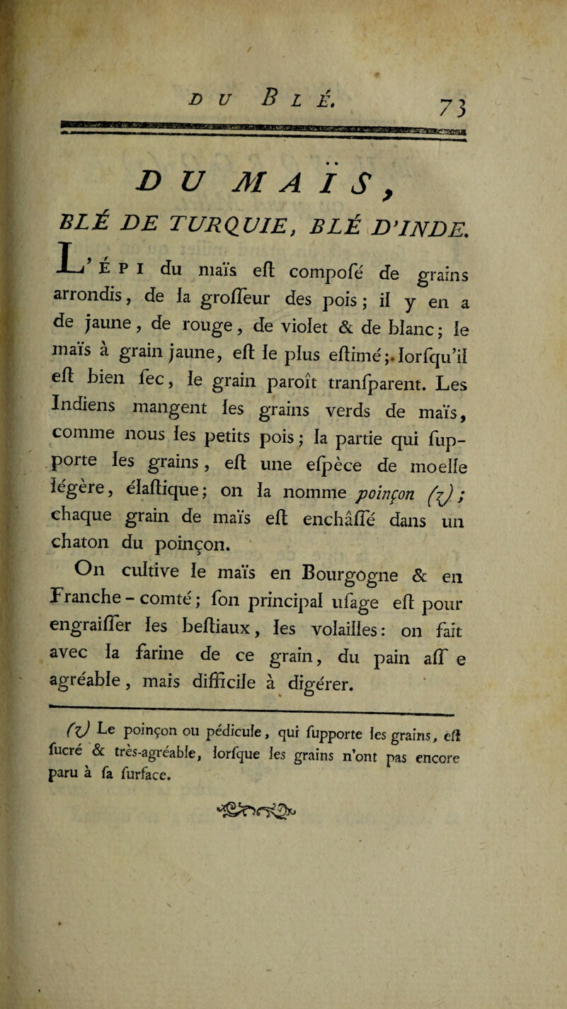 i> V Blé. 73 i DU MAÏS, BLÉ DE TURQUIE, BLÉ D’INDE. * EPI du maïs 6fl compofc ds grains arrondis, de la grolîèur des pois ; il y en a de jaune, de rouge, de violet & de blanc ; le inaïs à grain jaune, eft le plus edimé^lorfqu’il elt bien fec, le grain paroît tranlparent. Les Indiens mangent les grains verds de maïs, comme nous les petits pois ; la partie qui fup- porte les grains, ell une efpèce de moelle légère, élallique; on la nomme poinçon ; chaque grain de maïs elt enchâlTé dans un chaton du poinçon. On cultive le maïs en Bourgogne & en Franche - comté ; Ton principal ufage elt pour engraifler les beltiaux, les volailles : on fait avec la farine de ce grain, du pain alT e agréable, mais difficile à digérer. Le poinçon ou pédicule, qui fupporte ies grains, cfi fucré & très-agréab!e, iorfque les grains n’ont pas encore paru à fa furface.