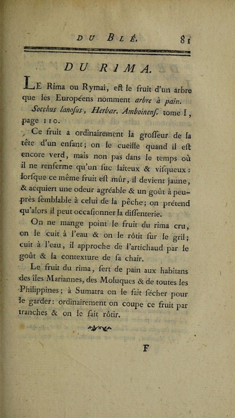 DU RIMA. Le Rima ou Rymai, eft ie fruit d’un arbre que les Européens nomment arbre à pain. Socchus lanofus, Hetbar. Amboinenf, tome I, page I I O. ^ Ce fruit à ordinairement îa grofîeun de fa tête d’un enfant; on le cueille quand il eft encore verd, mais non pas dans le temps où il ne renferme qu’un fuc laiteux & vifqueux : ^ iorfque ce même fruit elt mûr, il devient jaune, & acquiert une odeur agréable & un goût à peu- pi es femblable a celui de la pêche; on prétend qu alors il peut occalionner fa difîenterie* On ne mange point fe fruit du rima cru, on le cuit à l’eau & on le rôtit fur le gril; cuit à l’eau, il approche de i’artichaud par le goût & la contexture de fa chair. Le fruit du rima, fert de pain aux habitans des îles Mariannes, des Moluques & de toutes les Philippines; à Sumatra on le fait fécher pour ie garder: ordinairement on coupe ce fruit par tranches & on le fait rôtir. F