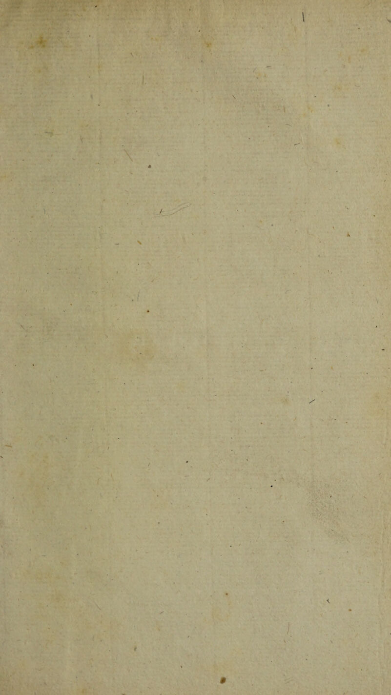 N « V \ J I ), \ <• (. h r \ t r ' \ Js‘. ‘ 1 r ■ JT s ’. ■. * . .’• '■’V*’’, .* .. , U- w pA *• V *'. V-. ■■-.-y. *. * *, V ^ ' , l \ ■ # < ■4t' 0