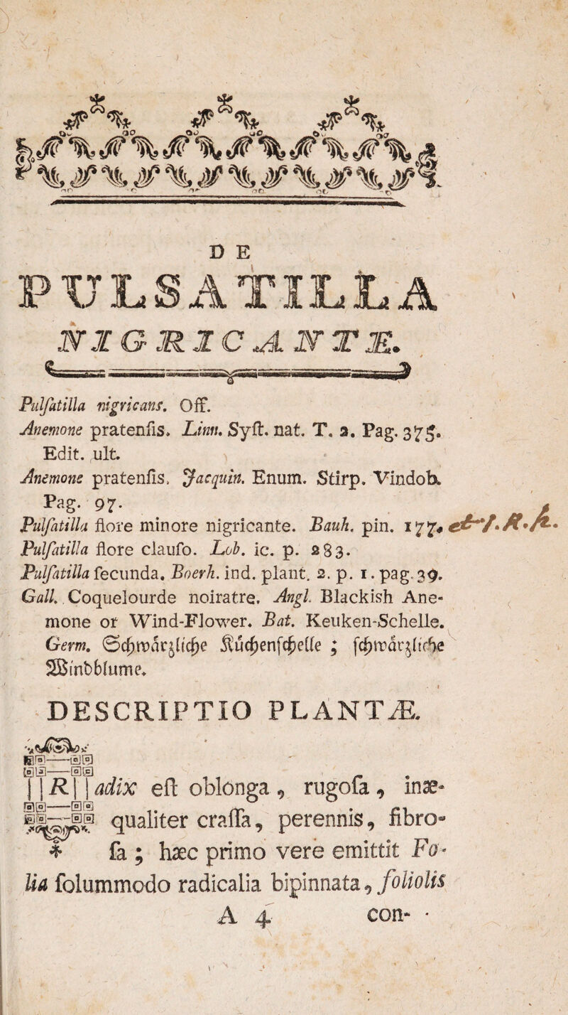 PULSAT ILLA n i g m. i c jl jy rz Pulfatilla nigricans, Oft. Anemone pratenfls. Linit, Syft. nat. T, a. Pag, 375. Edit. ult. > Anemone pratenfis. ac quin. Enum. Stirp. Vindoh. Pag. 97. Pulfatilla flore minore nigricante. Bauh. pin. 177, Pulfatilla flore claufo. Lob. ic. p. 283. Pulfatilla fecunda. Boerh. ind. piant. 2. p. 1. pag, 39. Culi Coquelourde noiratre. Angi Blackish Ane« mone or Wind-FJower. Bat. Keuken-Schelle. Germ. ©d)tt>drjltcf)e $u$enfc£eUe ; fdjmdt^ffle SBtnbblurrie. DESCRIPTIO PLANTiE. WSW Kf?——LsJ® am—, r 11R11 adix eft oblonga 9 rugoia <> mae- «f qualiter crafla, perennis, fibro- * fa ; haec primo vere emittit Fo¬ lia folummodo radicalia bipinnata, foliolis