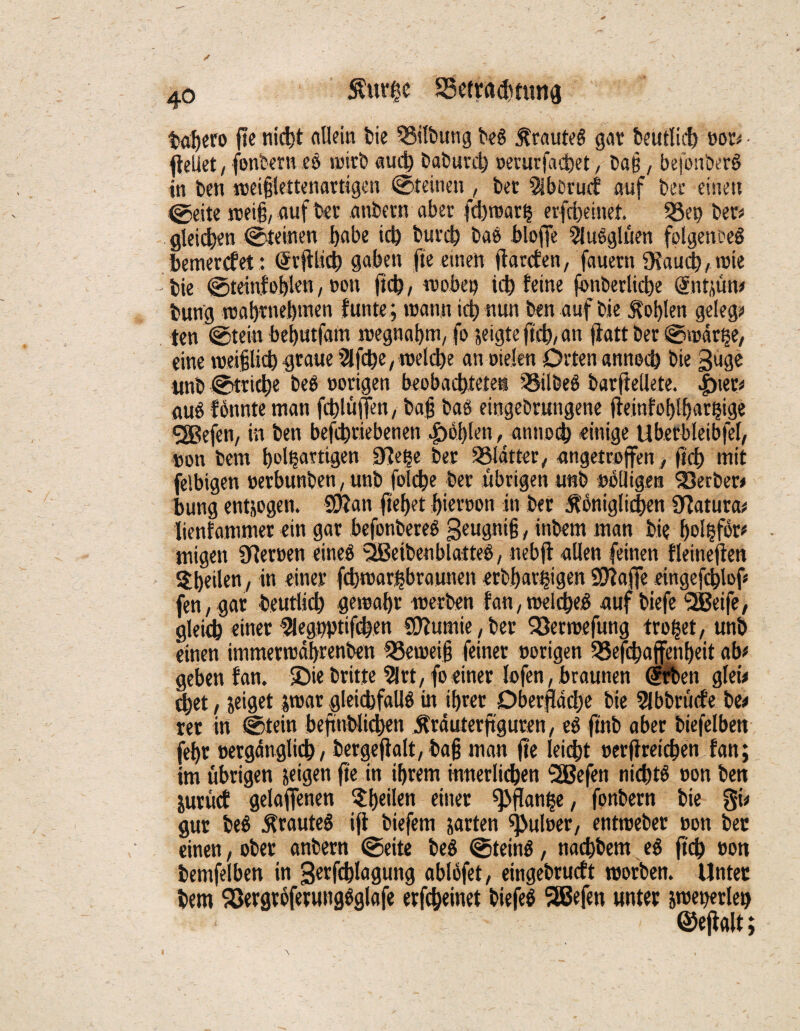 tabero fte nicht allein bie Gilbung beg jfrauteg gar beutlicb nor# • fteliet, fonbern es wirb auch Daburd) nerurfacbet, baß, befonberg in ben weifjlettenattigen ©teinet^, ber 5lbörucf auf bec einett ©eite weiß, auf ber anbetn aber fcbwarh erfcbeinet. 33eo ber# gleichen ©deinen habe id) burcb bae Jblofle 5lugglüen folgenceg bemercfet: (Jrftlicb gaben fie einen fhrcfen, fauern 9iaud), wie bie ©teinfoblen, non ftcb, wobeb id) feine fonberlicbe Qtnt^un# bung wabmebtnen funte; wann id) nun ben auf bie Noblen gelegt ten ©tein bebutfam wegnabm, fo jeigte ftcb, an fiatt ber ©wartje, eine weif lid) graue 21 fd)e, welche an Dielen Orten annecb bie guge unb ©triebe beg nötigen beobachtete« SSilbeg barfiedete. |net# aug fönnte man fcblüffen, baf bag eingebrungene fleinfoEjlfjar^ige SSBefen, in ben befebriebenen |)o!)len , amuxb einige Ubetbleibfel, non bern t>ol^artigen Sftetje ber SSldtter, angetroffen, ftcb mit felbigen nerbunben, unb folcbe ber übrigen tmb noUigen Berber# bung entjogen. SRan fielet biernon in ber königlichen SRatura# lienfammer ein gar befonbereg geugnifj, inbem man bie f)ol^for# migen SReroen eineg ^etbenblattee, nebft allen feinen fleinefien feilen, \n einer febwargbraunen erzhaltigen SRaffe eingefcblof« fen, gar beutlicb gewähr werben fau, welcbeg auf biefe 2Beife, gleich einer 2legnptifcben SOlumie, ber Söerwefung tröget, unb einen immetwabrenben SSeweifj feiner nötigen 25efd)affenl)eit ab# geben fan. ©iebritte 5lrt, fo einer lofen, braunen (jrben g(ei< tbet, jeiget jwar gleicbfallg in ihrer Oberfläche bie 5lbbrücfe be# rer in ©tein befmblicben krduterftguren, eg ftnb aber biefelben fehr nergdnglicb/ bergefialt, ba§ man fte leicht neureichen fan; im übrigen »eigen fie in ihrem innerlichen 2Befen nidjtg non ben gurücf gelaftenen ^l)eilen einer ^flan^e, fonbern bie gi# gur beg krauteg ifi biefem garten ^ulner, entweber non bec einen, ober anbern ©eite beg ©teing, naebbem eg ftcb non temfelben in gerfcblagung ablöfet, eingebrueft worben. Unter bem Söergroferuitggglafe erfebeinet biefeg SEBefen unter jwegerleu ©efialt;