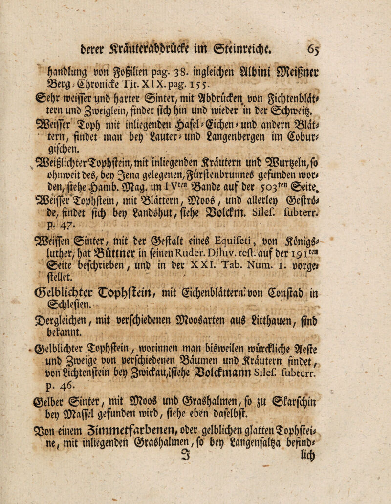 lanblung »on gofjilien pag. 38. ingleic|en Silbtm SPfeifnet’ .^etg > Slronitfe Tit. XlX.pag. 155. <Se|c roeiffer unb gartet Sintet/tmt 2lbbräifen sott gicljtenbläb tern unb gmeiftlein, fmöet ftd) |itt unb toieber in bet <S($n>ei§. SSBeifFer $op| mit inliegenbett £afel * ©den * unb attbern 33laf* • tetn, ftnbet matt bep bautet * unb gangenbergen im @obut* gifden. . SBeifslidterSbpljfem/mit inliegenbett Ätdutem unb <3Bur^eIn/fo o|im>eitbeö; bep 3ena gelegenen;gutjtenbrunneS gefunben roor* ben; fiele |)amb. ÜJtag. im l Vte SSanbe auf bet 503*' ©eite. SBeijTer’Sopbftein, mit flattern, SDtooö, unb allerlep ©efträ* be, ftnbet ftb| bep ganbb|ut, fte|e 25olcftn. Silef. fubterr. P- 47- SSßeijfen Sinter, mit bet ©eftalt eines Equifeti, sott ÄonigS* lut|er, |at Söfittttet in feinen Ruder. Diluv. teft. auf ber i5itcn (Seite befdtieben, unb in bet XXI. Tab. Num. 1. sorge* (teilet. 05clbltd?ter Cophffetit/ mit ©denbldttern; »on ©ntjtab in ©dleften. SDergleiden, mit »erfdiebenen üO^ooöavten aub gittffauen, f?nb befannt. • ©elblidter $op|ftein, roorinnen man bisweilen ttmrtfltcfje Sfefte unb gtoeige »on »erfdiebenen 55dumen unb Kräutern ftnbet, »on gidtenjtein bep 3t»icfau,[fte|e 23olcfmann Silef. fubterr. p. 46. ©eibet (Sinter / mit 2Dtoo$ unb ©raSlalmen, fo ju Sfarfdin bep SOlaffel gefunben roirb, fie|e eben bafelbft. 93on einem Sttttttietfätbeiten, ober gelblichen glatten $op|ffei* ne, mit inliegenbett ©ra$|almen, fo bep gangenfalfsa beftnb* 3 ' lic|