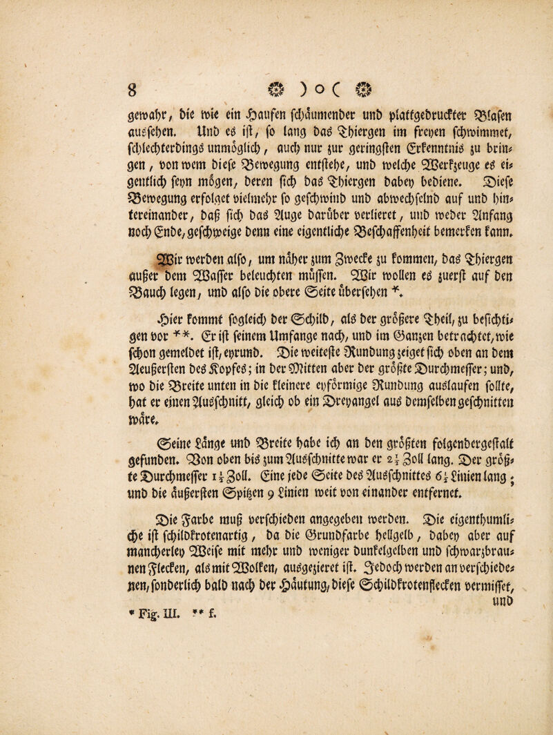 gewahr, t>ic wie ein Raufen fchduntenbet uni) plaffgebtucffet Olafen auefeffen. Unb cs iff, fo lang öaS 'Sbietgen im freien fchwimmet, fcltlechferbingS unmöglich, auch nut: jut geringen (grfenntnis ju beim gen, »onwern biefe Bewegung entffehe, unb welche SBerfjeuge es ei« gentltch fepn mögen, beten ffd> baß ‘Sbiergen habet? bebiene. Snefe Bewegung erfolget öielmebr fo gefeffwinb unb abwechfdnb auf unb bin« tereinanber, baff ftd) bas 2luge barubet »edieret, uub webet Anfang noch(gnbe,gefd)weige benn eine eigentliche 533efchaffenheit bemetfen fann, 3Bit werben alfo, um nabet jurn gwerfe $u fommen, bas 'Sbiergen auffet bern Sßaffer beleuchten muffen. 2Bir wollen es juerff auf ben fSaucl; legen, unb alfo Di« obere @eite uberfeben *. \ Shier fommt fogleid? ber©d)ilb, als ber gtoffere ^beil, ju befieffti« gen »or **. (griff feinem Umfange nach, unb im ©amen betracbtef,wie febon gemelbet iff,eprunb. Sie weiteffe 9?unbungseigetficb oben an bem Sleufferffen beS Kopfes; in bereiften aber ber groffteSburcbmcffer; unb, wo bie Q$reite unten in bie fleinere epformige fXunbung auSlaufen follfe, bat er einen SluSfcbnitt, gleich ob ein S>ret;angel aus bemfelbengefchnitten wate. ©eine £ange unb greife habe ich an ben grofften folgenbergeffalt gefunben. Q3on oben bis 511m Slusfcbnitte war er 2;- goß lang. 2)er grdff« te Sburchmeffet x i SoU» (gine/ebe ©eite bes Slusfcbnitfes 6,£inien lang; unb bie dufferffen 0pi(sen 9 Sinien weit »oneinanber entfernet. S)ie ^arbc muff »erfebieben angegeben werben. SDie etgentbumli« ehe iff febilbfrotenartig, ba bie ©runb,färbe hellgelb, habet) aber auf mancherlei) SBeife mit mehr unb weniger bunfelgclben unb fchroarjbrau« nen Rieden, als mit ’2Bolfen, ausgejieref iff, Seboch werben an »erfchiebe« jten, fotibedich halb nach ber Häutung, biefe ©cbilbfrotenjMen »ermiffet, unb * Fig. UI. ** f.