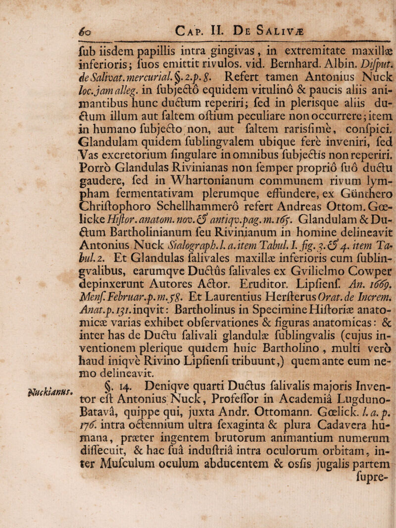 MHckianus^ fub iisdem papillis intra gingivas, in extremitate maxillse inferioris; luos emittit rivulos, vid. Bernhard. Albin. Difput. de Salivat.mercurial.^.2.p.S. Refert tamen Antonius Nuck loc.jam alleg. in fubjeflo equidem vitulino & paucis aliis ani¬ mantibus hunc duftum reperiri; fed in plerisque aliis du- £lum illum aut faltem oftium peculiare non occurrere; item in humano fubje£lo non, aut faltem rarisfime, confpici. Glandulam quidem fublingvalem ubique fere inveniri, fed iVas excretorium lingulare in omnibus fubje^lis non reperiri. Porro Glandulas Rivinianas non femper proprio fuo duftu gaudere, fed in Whartonianum communem rivum lym¬ pham fermentativam plerumque effundere, ex Gunrhero ChriRophoro Schellhammero refert Andreas Ottom. Gce- licke Hijlor. anatom. nov,iS antiqv.pag. m. Glandulam & Du- ftum Bartholinianum feu Rivinianiim in homine delineavit Antonius Nuck Sialograpk 1. a. item Tabui. I.fig. ^.^ q. item Ta- hui.2. Et Glandulas falivales maxillae inferioris cum fublin- gvalibus, earumqvc Dudlus falivales ex Gvilielmo Cowper depinxerunt Autores Ador. Eruditor. Liplienf An. itfifp. Menf.Fehruar.p.m.pS. Et Laurentius HerRerusOrar. Increm. Awflf.y./5/.inqvit: Bartholinus in SpecimineHiRoriae anato¬ micae varias exhibet obfervationes & Rguras anatomicas: & inter has de Dudu falivali glandulx fublingvalis (cujus in¬ ventionem plerique quidem huic Bartholino , multi vero haud iniqve Rivino LiplienR tribuunt,) quem ante eum ne¬ mo delineavit. §. 14. Deniqve quarti Dudus falivalis majoris Inven¬ tor eR Antonius Nuck, Profeffor in Academia Lugduno- BatavS, quippe qui, juxta Andr. Ottomann. Gcelick. fjk intra oftennium ultra fexaginta & plura Cadavera hu¬ mana, prseter ingentem brutorum animantium numerum diffecuit, & hac fua induRria intra oculorum orbitam, in¬ is partem fupre- ter Mufculum oculum abducentem & osfis jugal