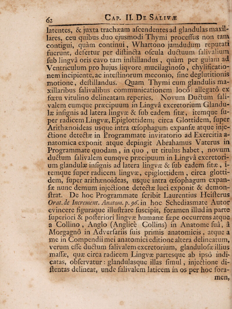 latentes, & juxta trachsearn afcendentcs ad glandulas maxil¬ lares, ceu quibus duo ejusmodi Thymi procelTus non tani contigui, quam continui, Whartono jamdudum reputati fuerunt, defertur per diftinfta ofcula ductuum falivaliuin fub lingva oris cavo tam inftillandus , quam per guiani ad Ventriculum pro hujus liqvore mucilaginofo , chylificatiq- nem incipiente, ac inteftinorum meconio, fine deglutitionis motione, deftillandus. Quam Thymi cum glandulis ma¬ xillaribus falivalibus communicationem loco» allegato ex foetu vitulino delineatam reperies. Novum Ductum lali- valem eumque prtecipuum in Lingva excretorium Glandu¬ lae infignis ad latera lingvae & fub eadem fitae, itemque fu- per radicem Lingvae, Epiglottidem; circa Glottidem, fuper Arithaenoideas usque intra oefophagum expanfae atque inje¬ ctione deteCtae in Erogrammate invitatorio ad Exercitia a- natomica exponit atque depingit Abrahamus Vaterus iti Programmate quodam , in quo , ut titulus habet, novum duCtum falivalem eumqve praecipuum in Lingva excretori¬ um glandultE infignis ad latera lingvae & fub eadem fitae, i- temque fuper radicem lingvae, epiglottidem, circa glotti¬ dem, fuper arithsnoideas, usque intra gefophagum expan¬ fae nunc demum injeCtione deteCtae luci exponit & demon- ftrat. De hoc Programmate feribit Laurentius Heifterus Orat.de Increment. Anatom.p.pd.in hoc Schediasmate Autor evincere figuraque illuftrare fuscipit, foramen illud in parte fuperiori & pofteriori lingvae humanae faepe occurrens atque a Collino , Anglo (Anglice Collins) in Anatome fua, a Morgagno in Adverfariis fuis primis anatomicis , atque a me in Compendii mei anatomici editione altera delineatum, verum efie dutlum falivalem excretorium, glandulofae illius maflae, quae circa radicem Lingvae partesque ab ipso indi¬ catas, obfervatur : glandulasque illas fimul, injeftione di- llentas delineat, unde falivalem laticem in os per hoc fora¬ men,