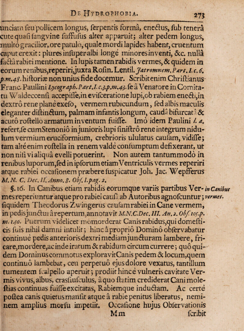 unciam feu pollicem longus, ferpentis forma, encdus, fub tenera cutequafifangvine fuffufus alter apparuit; alter pedem longus, mulro gracilior, ore patulo, quale mordi lapides habent, cruentum caput erexit: pluresinfuper albi longe minoresinventi, Scc. nulla fadarabiei mentione. In lupis tamen rabidis vermes, & quidem in eorum renibus,reperiri,juxta Rolin. Lentil. Jatr omnem. PArt. i. c, 6, p.m.48.hiftorite nonuniusfidedocemur. Scribitenim ChriftianuS' Franc. Paullini Lycograph. Part.l. c.j.p.m.43. fe a Venatore in Comita¬ tu Waideccenfi accepifre,in evifceratione lupi,ob rabiem ene(fti,in dextro rene plane exefo, vermem rubicundum, fed albis maculis eleganter diftinftura, palmam infantis longum,.cauda bifurcata & acuto roftello armatum inventum fuiffe. Imo^dem Paulini /. a. refert,fe cumStenonio in junioris lupi finiftro rene integrum nidu¬ lum vermium eruciformium, crebrioris ululatus caufamjVidifle; tam alte enim roftella in renem valde confumptum defixerant, ut non nifi vi aliqua evelli potuerint. Non autem tantummodo in renibus luporum,fed in ipforum etiam Ventriculis vermes reperiri atque rabiei occafionem prabere fuspicatur Joh. Jac. Wepfferus M, N. c. Dec, II, Anm, 8. ObJ. I.pag. 2. §.i6. In Canibus etiam rabidis eorumque variis partibus Ver-inCmbuf mes reperiuntur atque pro rabiei caula ab Autoribus agnofcuntur; vermes. fiquidem Theodorus Zwingerus caufamrabiei in Cane vermem, in pedisjunfturarepertum,annotavit M.N.C.Dec. 111. An.2. Obfios.p. m. 140. Puerum videlicet momorderat Canisrabidus,quidomefl:i- cis fu is nihil damni intulit; hinci proprio Domino oblervabatur continue pedis anterioris dextri mediamjunfturam lambere, fri¬ care,mordere,ac inde iratum & rabidum circum currere; quo qui- ■ dem Dominus commotus exploravitCanis pedem & locum,quem continuo lambebat, ceu perpetuo ejus dolore vexatus, tantillum tumentem Icalpello aperuit; prodiithince vulneris cavitate Ver¬ mis vivus, albus, crasliufculus, aquoflatimcredideratCanimole- ftias continuas fuiffe excitatas. Rabiemque indudara. Ac certe poftea canis quietus manllt atque a rabie penitus liberatus, nemi¬ nem amplius morfu impetiit. Occafione hujus Obfervationis