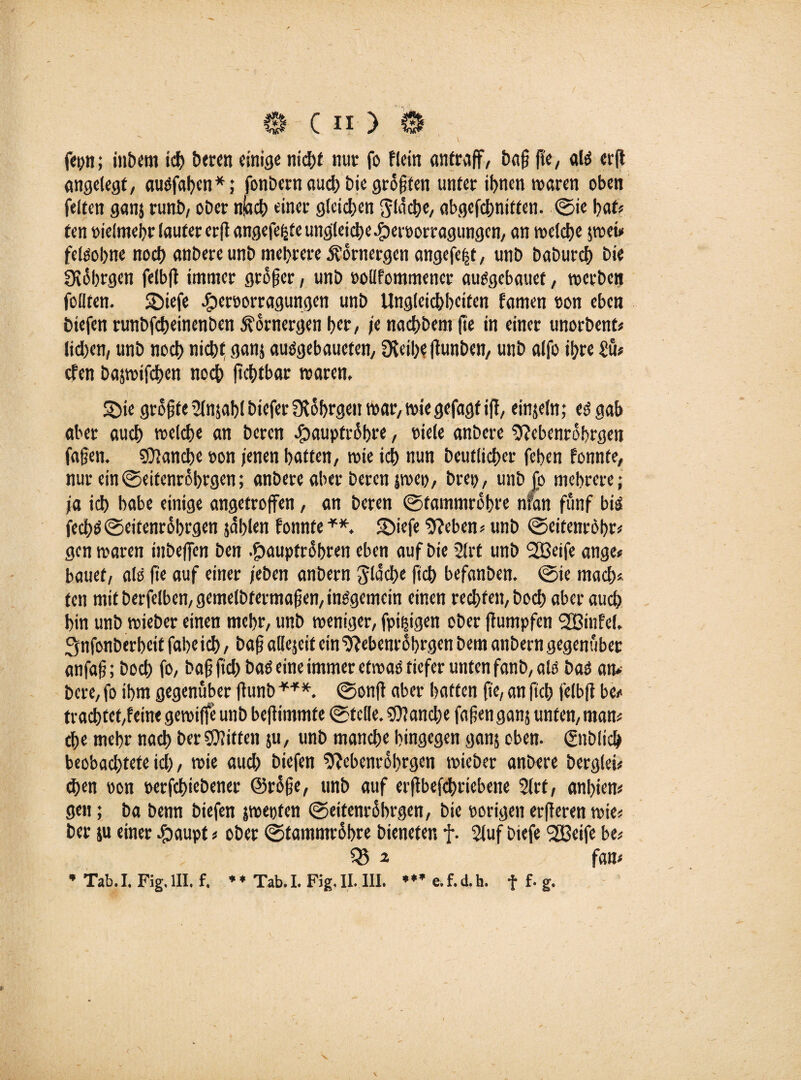 fepn; inbem icf) beren einige nicht nur fo Flein «ntraff, baf? fi'e, aß erfl angelegt, auöfaJjcn*; fonDecn auch bic größten unter ihnen waren oben feiten gan$ runb, ober njach einet- gleichen ^tdd>e/ abgefchnitfen. ©ie hat« ten vielmehr laufet erff angefe^fe ungleiche .£)eröorragungcn, an welche jwet» feßobne noch anbete unb mehrere Äürnergen angefefjt, unb baburch bie SKührgen felbfl immer großer , unb »olffommencr aißgebauet, werben füllten. SDiefe cfpereorragungen unb Ungleichheiten famen »on eben biefen runbfeheinenben Äornergen her, je nachbem fte in einer tinorbenf« liehen, unb noch nicht ganj auggebaueten, fKeiheßunben, unb alfo ihre £ü« efen baswifchen noch ftchtbar waren. 3)ie größte 2lnjahlbiefer0^§hrgen war, wie gefagfift, einjeln; iS gab aber auch welche an beren Jpaupfrühre, viele anbere 9?ebenrohrgen fafjen. Manche »on jenen haften, wie ich nun Deutlicher feben fonnfe, nur ein©eitenrSbrgen; anbere aber beren jwep, brep, unb jo mehrere; ja ich habe einige angetroffen, an beren ©tammrohre nfan fünf big fechg©eifenrohrgen jdblen fonnfe **. $öiefe 9?eben« unb ©eitenröhr« gen waren inbeffen ben .£)aupfrühren eben auf bie 2lrt unb SCßeife ange« bauet, aß fte auf einer jeben anbern flache |ich befanben. ©ie mach* ten mit berfelbcn, gemelbtermafen, insgemein einen rechten, hoch aber auch hin unb wieber einen mehr, unb weniger, fpipigen ober flumpfen Stßinfel. ^nfonberheit faheich, bafj allejeit ein ^Jebenrohrgen bem anbern gegenüber anfa§; hoch fo, baf} ftch baO eine immer etwas tiefer unten fanb, alö bas am bere, fo ihm gegenüber flunb ***. ©onft aber haften fte, an ftch felbfi be* trachtet,feine gewiffe unb beffimmfe ©teile. Manche faßen ganj unten, man* che mehr nach bereiften ju, unb manche hingegen ganj oben, ©iblich beobachtete ich, wie auch biefen ^ebenrohrgen wieber anbere berglei« (J)en oon «erfchicbener ©rofje, unb auf erfibefchriebene 21rt, anhien« gen; ba benn biefen jwepfen ©eitenrührgen, bie «origen erfteren wie« ber ju einer Stäupt«ober ©tammrühre bieneten f. 21uf biefe Sfßeife be« 05 2 fan« * Tab. I. Fig. III. f. * * Tab.I. Fig. II. 111. *♦* e.f.d.h. f f. g.