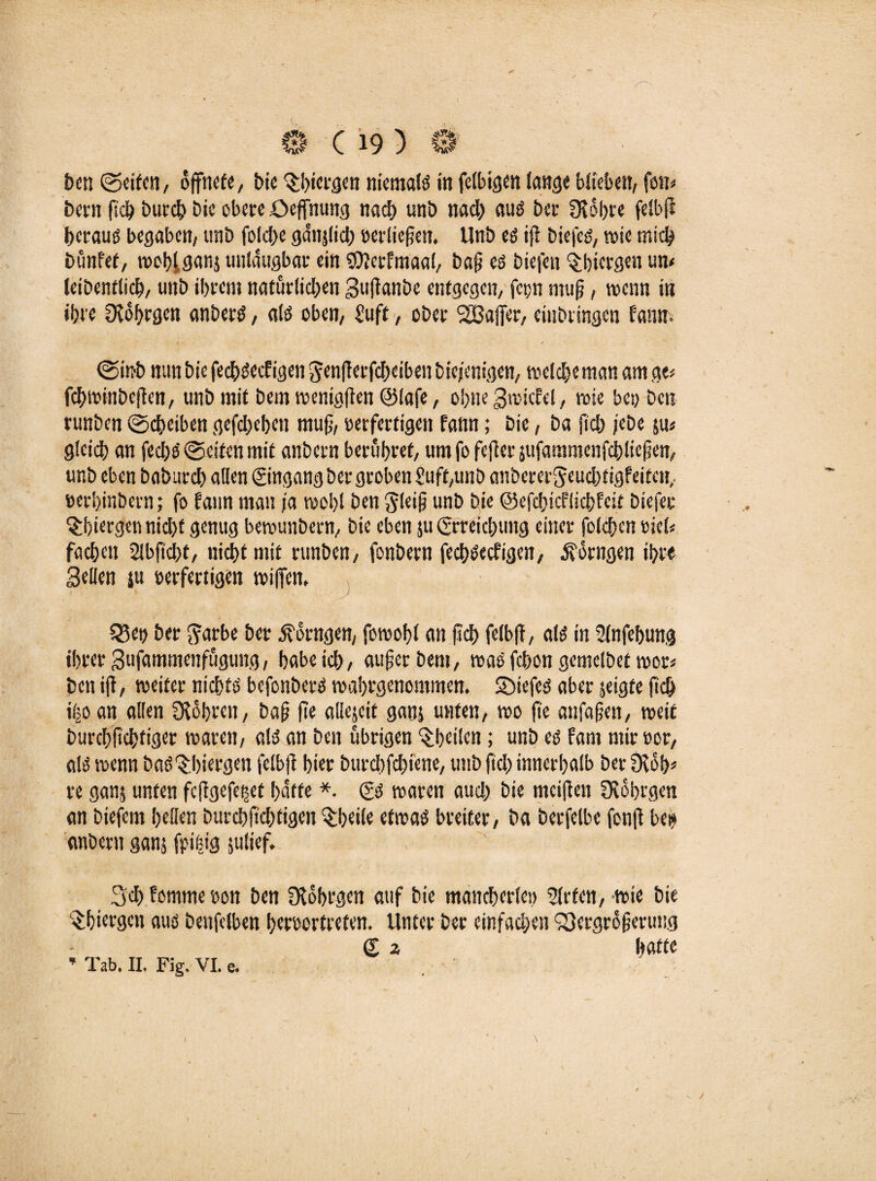 ben (Seifen, öffnete, bic Ohttrgen niemals in felbigen lange Wieben, fon* bern ßch burch Die obere Oeffnung nach unb nach aus ber Ofobre felbji heraus begaben, unb folche gdnjlich »erließen. Unb es iß biefes, wie mich bunbet, wohlganj uitidugbai' ein SDberbmaal, baß es biefen Obicrgen un< leibentlich, unb ibrem natürlichen Sußanbe entgegen, feyn muß, wenn in ibre üvdbrgcn anberS, als oben, Suff, ober SBaffer, erbringen bann. (Stnb nun bie fechsccbigen $enßerfchciben biejenigen, welche man am ge* fchminbejten, unb mit beut wenigßen @iafe, ohne Swicbel, wie bey ben runben (Scheiben gefcheben muß, »erfertigen bann; bie, ba fich jebe ju< gleich an fechS Seiten mit anbern berühret, um fo feßer jufammenfdblicßen, unb eben baburch allen (Eingang ber groben Suff,unb anberer$euchfigbeifcit, »erhinbern; fo bann man ia wohl ben ^leiß unb bie ©efchicblichbcif biefee Obiergen nicht genug bewunbern, bie eben 511 (Erreichung einer folgen »ick fachen 2lbßcht, nicht mit runben, fonbern fechsccbigen, dfdrngen ihre Sellen ju oerfertigen wißen, 03 ey ber ftarbe ber jfdrngen, fowohl an ftd) felbß, als in Slnfebung ihrer Sufammenfugung, habe ich, außer bem, was fchon gemelbef wor* ben iß, weiter nichts bcfonberS wahrgenommen, SDiefeS aber jeigte ßcb ibo an allen fXdbrcn, baß ße aliejeit ganj unten, wo ße anfaßen, weif burebßebfiger waren, als an ben übrigen Obeilen; unb es bam mir »or, als wenn baSObiergen felbß hier burebfebiene, unb fich innerhalb berSKdtk re ganj unten feftgefe^ef hafte *. (Es waren auch bie mcißeti OSobrgen an biefent hellen burchßchtigen Obeile etwas breiter, ba berfelbe fonß bet* anbern ganj fpibig julief* Sch bomme eon ben fXobrgen auf bie mancherlei) Wirten, wie bie Obiergcn aus benfelben beroorfreten. Unter ber einfachen S3ergrdßeruug (E z hafte * Tab. II, Fig. VI. e. . '