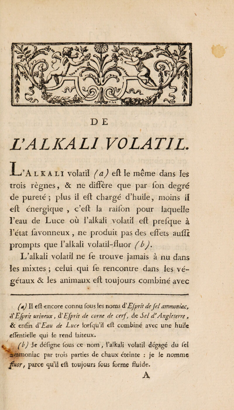 D E L’AL KALI VOLATIL. -L’A LKALI volatil ( a) eft ie même dans les trois règnes, & ne diffère que par Ton degré de pureté; plus il eft chargé d’huile, moins il eft énergique , c’eft Ja raifon pour laquelle l’eau de Luce où i’alkali volatil eft prefque à l’état favonneux , ne produit pas des effets auflî prompts que I’alkali volatil-fluor (b), L’alkali volatil ne fe trouve jamais à nu dans ïes mixtes ; celui qui fe rencontre dans les vé¬ gétaux & les animaux eft toujours combiné avec (a) Il eft encore connu fous les noms d’Efprit deJeiammoniac, dEfprit urineux, à'Efprit de corne de cerf, de Sel d*Angleterre , & enfin à'Eau de Luce lorfqu’il eft combiné avec une huile cflèntielle qui le rend laiteux. ! (b) Je défigne fous ce nom, l’alkali volatil dégagé du Tel ammoniac par trois parties de chaux éteinte : je le nomme finor, parce qu’il eft toujours fous forme fluide. A