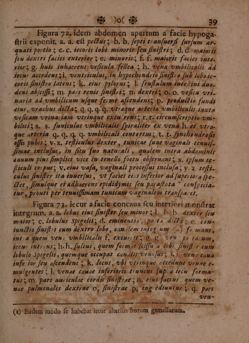 - E Figura 42, I T eA pello 4 facie bypx -€ fii exponit, a. a. eft pectus Pb b. fepti tran[uerfí vm i| quati portio ; C. C. decoris lobi minoris fen ff s d .d- | pir; g huic dnbaerens, veff feti. s fellea. ; , In v peiendi decur accedens si. Ventriculus, €oris fenifhvo latens s k.. eius. eu us. deni Aabfetffi s 3 m. pars renis fi fs niflri, n. de naria ad vimbilicum ufque ferme i eius , urachus ditfas q. q- q- q. acf cAMP. cvrinardam vrrinque. bili $ *- 8. funiculus. vmi r.t: ejrcum n/criptío is [piraliter €x vens | lica j contortus s. k. dt ff: D bis s, v. | ulus dexter , tunicae. [uae Vaginal te n B ea) tl»fu fitu. p BaturAli y. D aem. dura abdorii y sauum piss fondi vice in tenero. Priores -ebferuant 5, x. ipfum te- ji ficuli cos] 5. V. eius vafa, vaginali preceffus inclufa ; y: 2. refli-. : fimiffer ita dnter[us , vt facies eius inferior ad fapeii i074 fte- i mul. qtue eia dhaerens Mon ri p^ affata  canfpicia-. Bav pd 2 cA ME Tr. x a [rc QM . Figura 723- ie cur Ls pu integrum. a. ae dobus € eius a  fer anaior? C. lobulus dp UM infe ior feu afcemdens ». m. pars auriculae: cordis pex, x poi o, deos rw m Imo ww P Ec lem lir. e TRANS iecur altezius horum germ M ; E