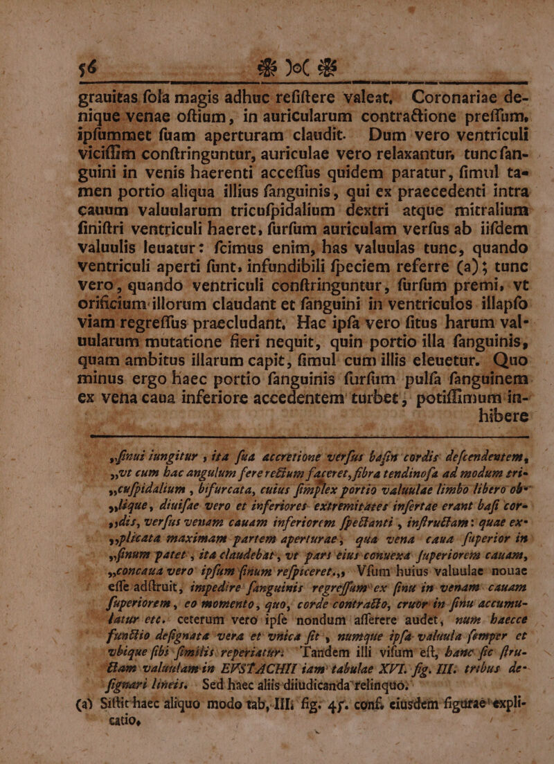 itas fola Red Pu 1C 'efiftere- valeat; Corbnirbeen iique venae oftium, in auricularum- contra&amp;tione: preffam, ipf ; t füam aperturam claudit. Dum vero ventriculi viciffi n conftringuntür, auriculae vero relaxantur, tuncfan- .- guini in venis haerenti acceffus quidem paratur, fi mul ta« men portio aliqua illius fanguinis, qui ex praecedenti intra. cauum valuularum tricufpidalium dextri atque rnicraliumr. finiftri t dne d X Riefiit AEN | alu yeu car duse: P ergo: «by patito: (ar uinis ; farfum: v poli nm ex vena caua inferiore accec lentem turbet potiffimum in- ai n indi, desit ides duci * e ii e Lf xm kG SES. T ime COWAENTHREECT e 3 uim TPHSIS , 2 LED bafi 7 cordis: mEDRA 090 eyet cum bac angulum fere: reium fa eret, fibra tendinofa ad modum sri- c o»seufpidalium , bi tfurcata, cuius feoaplex : portio valuulae Testo libero obre- « »que, diuifae Vero ) et inferiores extremitates infertae erant bafi core csydzs, verfus venam Cau inferiorem fpettanti , inffrucam: quae ex-. uc SP nad maximam partem aperturae qua vena caua füperior ini. I WES PANES zt4 elaudebar, vt part éiur conuesda: fuperiore cauas, xt Oncaua vero tpfam (inum rejpiceretu,y 'Vfum' huius valuulae- nouae effe aditruit impedire: fanguinis regreffamex. ffnu in venam! cauam 4 ud iperirem  eo fai ut pee eufde emt cruor. n finu accumu- (Cat ide T, Hun baecce s -—