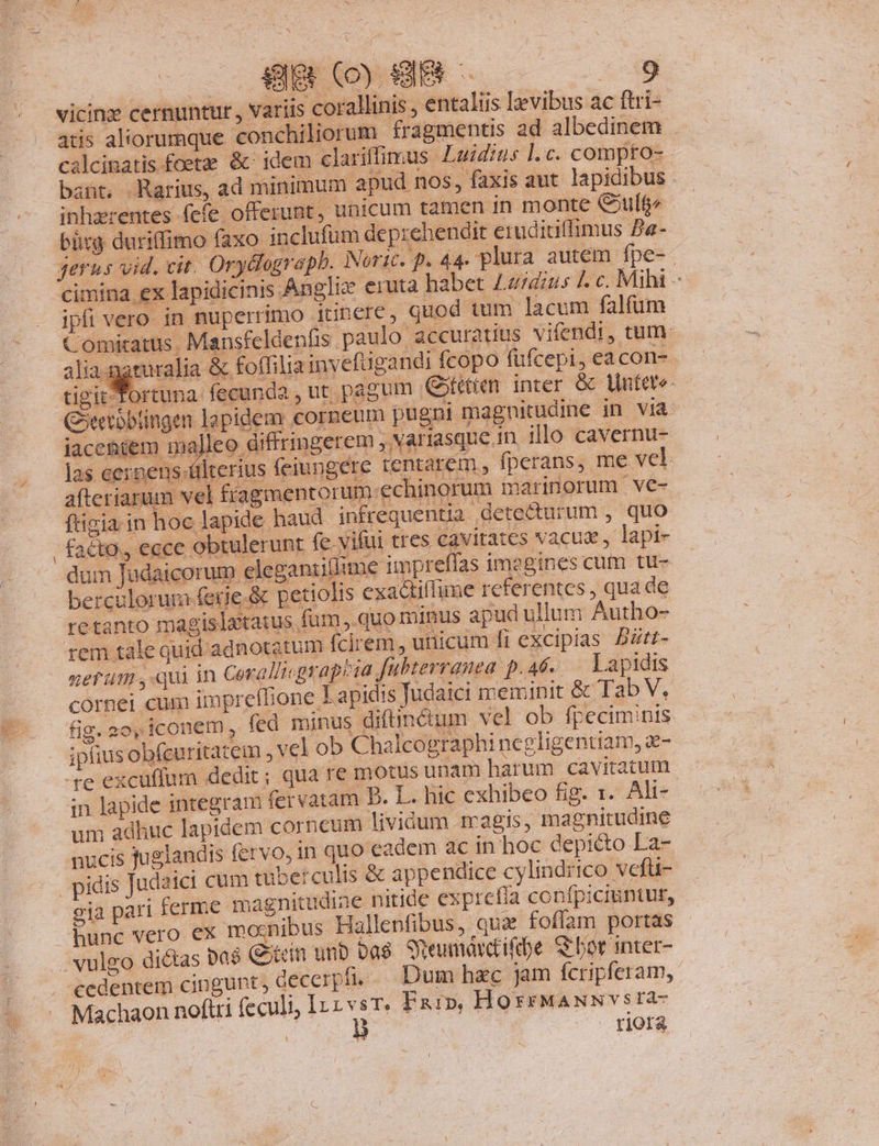 vicinz cernuntur , variis corallinis , entaliis levibus ac ftri- atis aliorumque conchiliorum fragmentis ad albedinem . calcimatis fceta &amp; idem clariflimus Laidius ]. c. compro- bant, -Rarius, ad minimum apud nos, faxis aut lapidibus . inhzrentes fefe offerunt, unicum tamen in monte Cult Comiramus. Mansfeldenfis paulo accuratius vifendi, tum. nerttn qui in Corallicgrapiia fubterran ea p. Ab. Lapi Te He 2o, iconem, fed minus diftinctum vel ob fpeciminis. A vulgo dictas Da$ (Cein unb vq Sumórtifbe bor inter- cedentem cingunt, decerphi. Dum hac jam fcripferam, Machaon noftri feculi) 11r vs. Fx» HorWbkNnvirzs * | 3 riora 4 «13