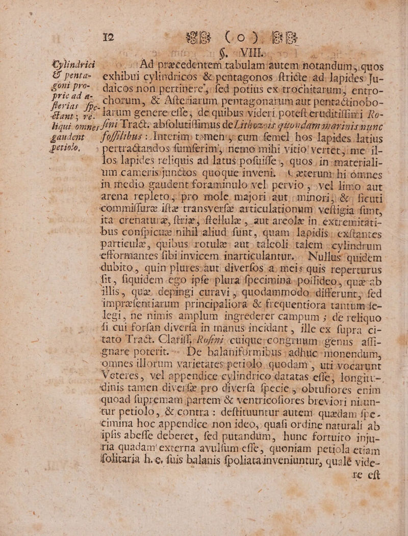 E e ONES Go! Cylindrii |... Ad praecedentem tabulam autem notanc ums.quos £9! pro-... d3icos non pertinere: fed potius ex trochitarum; entro- prie ad ws chorum, &amp; Afteriarum peptagonarum aut pentactinobo- ^ nod JP kasum genere efle, de quibus videri potefteruc itilini $865- liqui mpg, fiti Tract: abfolutiflimus deZLztbozois quo hdam3pavinismunc gaudent — fofffibus : Interim tomenuy:cum femel hos lapides. latius gerivo, —; pertractandos fumferim;; nemo mihi vitio! vertetj me: il- . '- los lapides reliquis ad latus.pofuiffe , quos , in materiali- um .camerisjunétos quoque inveni, |..&amp; ;eterunr hi ómnes jn rhedio gaudent foraminulo vel. pervio , vel limo aut arena repleto;.pro mole majori aut, minori; &amp;; ficuti , commiffurz iftz- transverfe articulationuni: veftigia funt, ita-crenaturg, ftri -ftelluloe, aut areolz in. extremitáti- bus confpicuz nihil-aliud: fünt, quam. lapidis... exítantes particulz, quibus rotule: aut- taleoli. talem | cylindrum eftormantes fibi invicem inarticulantur. « Nullus quidem. dubito, quim plures-aut diverfos a. meis quis reperturus fit, fiquidem.ego ipfe plura fpecimina-poilideo qua-zb ilis, quz. depimgl curavi ,; quodammodo differunt; fed imprzíentdarum principaliora &amp; frequentiora tantum e- legi, ne nimis amplum ingrederer campum ;. de reliquo - fi cui forfan diverfa in manus incidant, ille ex füpra ci- tato^ Tract. Clariff;-Rofrzz .culque:congruum genns atfi- gnare poterit. De balánifórmibus: adhuc. nionendum, omnes illorum varietates. periolo quodam , uti vocarunt Veteres, vel appendice cylindrico datatas effe; longitv-. dinis tamen diverfe pro diverfa fpecie y-obtufiores enim quoad fupremam partem &amp; ventricofiores breviori niiun- tur petiolo, &amp; contra: deftituuntur autem. quxdam fpe. €1mina hoc appendice. non ideo, quafi ordine naturali ab ipfis abeffe deberet, fed putandum, hunc fortuito inju- ria quadam'externa avulfum effe, quoniam petiola etiam 4olitaria h.e, fuis balanis fpoliatainveniuntur, qualé vide- | re eft ute